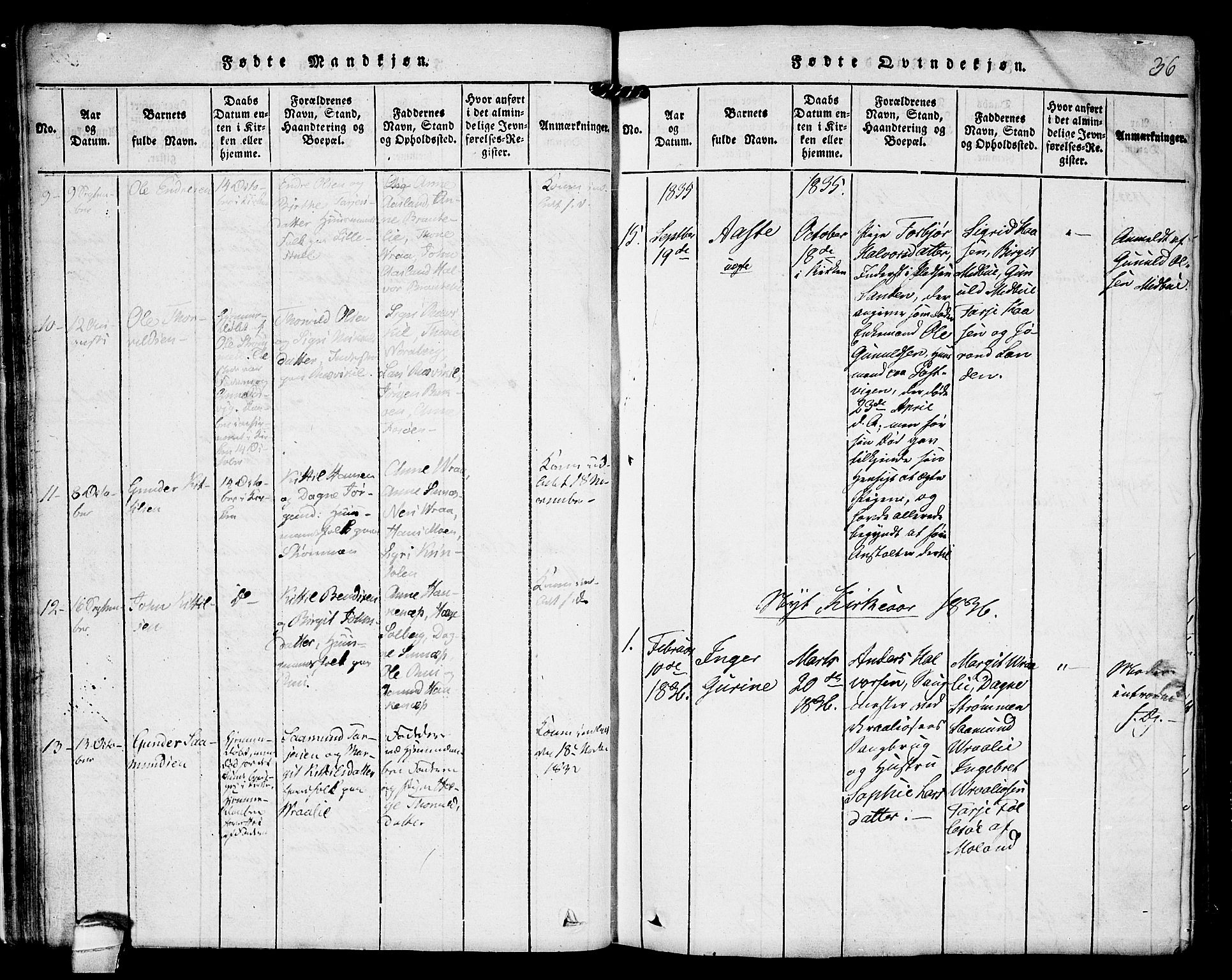 Kviteseid kirkebøker, SAKO/A-276/F/Fc/L0001: Parish register (official) no. III 1, 1815-1836, p. 36