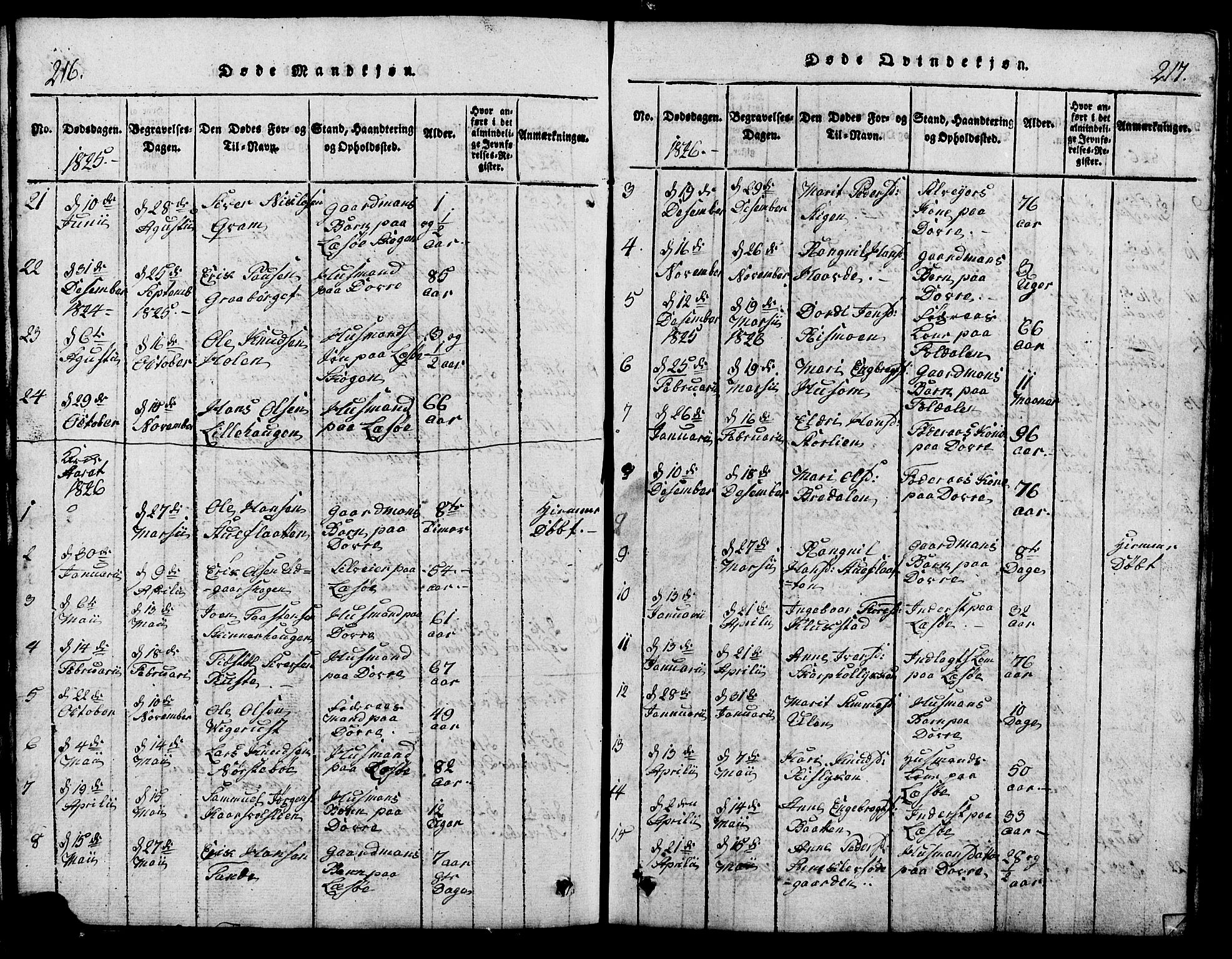 Lesja prestekontor, SAH/PREST-068/H/Ha/Hab/L0001: Parish register (copy) no. 1, 1820-1831, p. 216-217