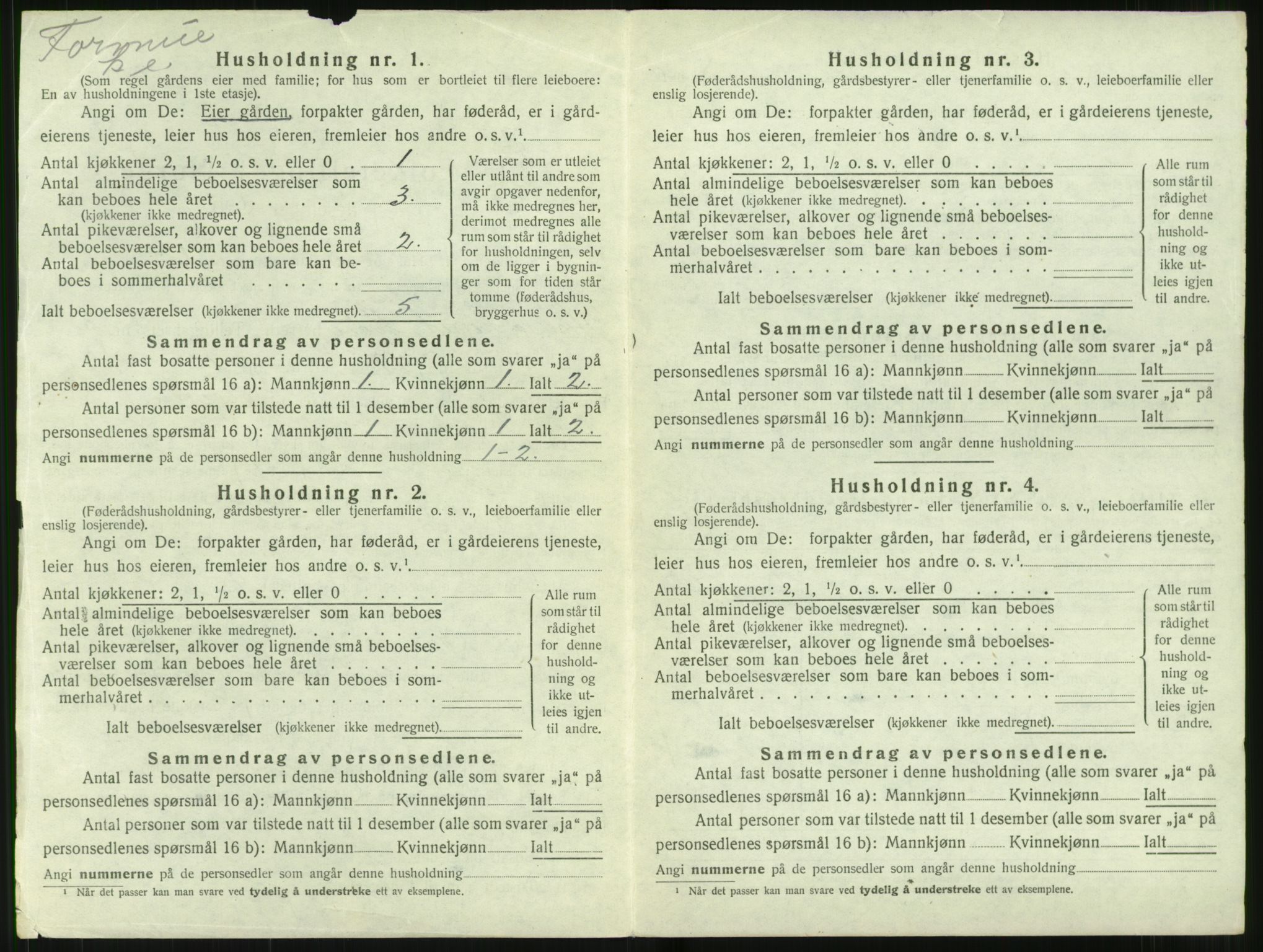 SAT, 1920 census for Stranda, 1920, p. 196