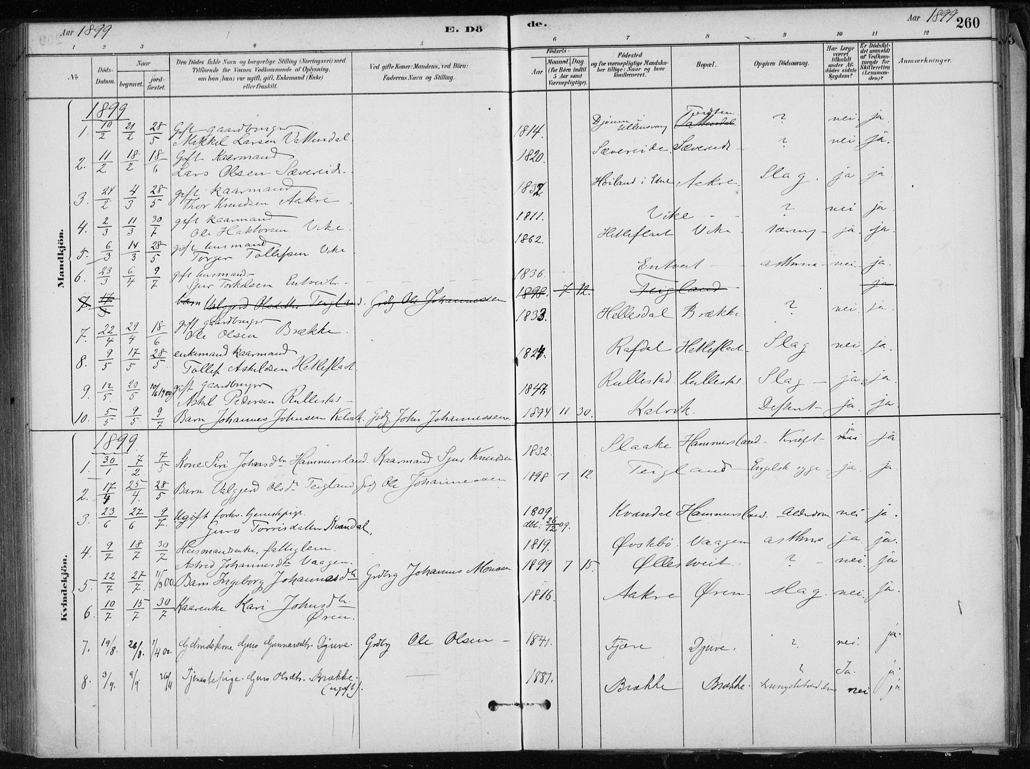 Skånevik sokneprestembete, AV/SAB-A-77801/H/Haa: Parish register (official) no. E  1, 1879-1901, p. 260