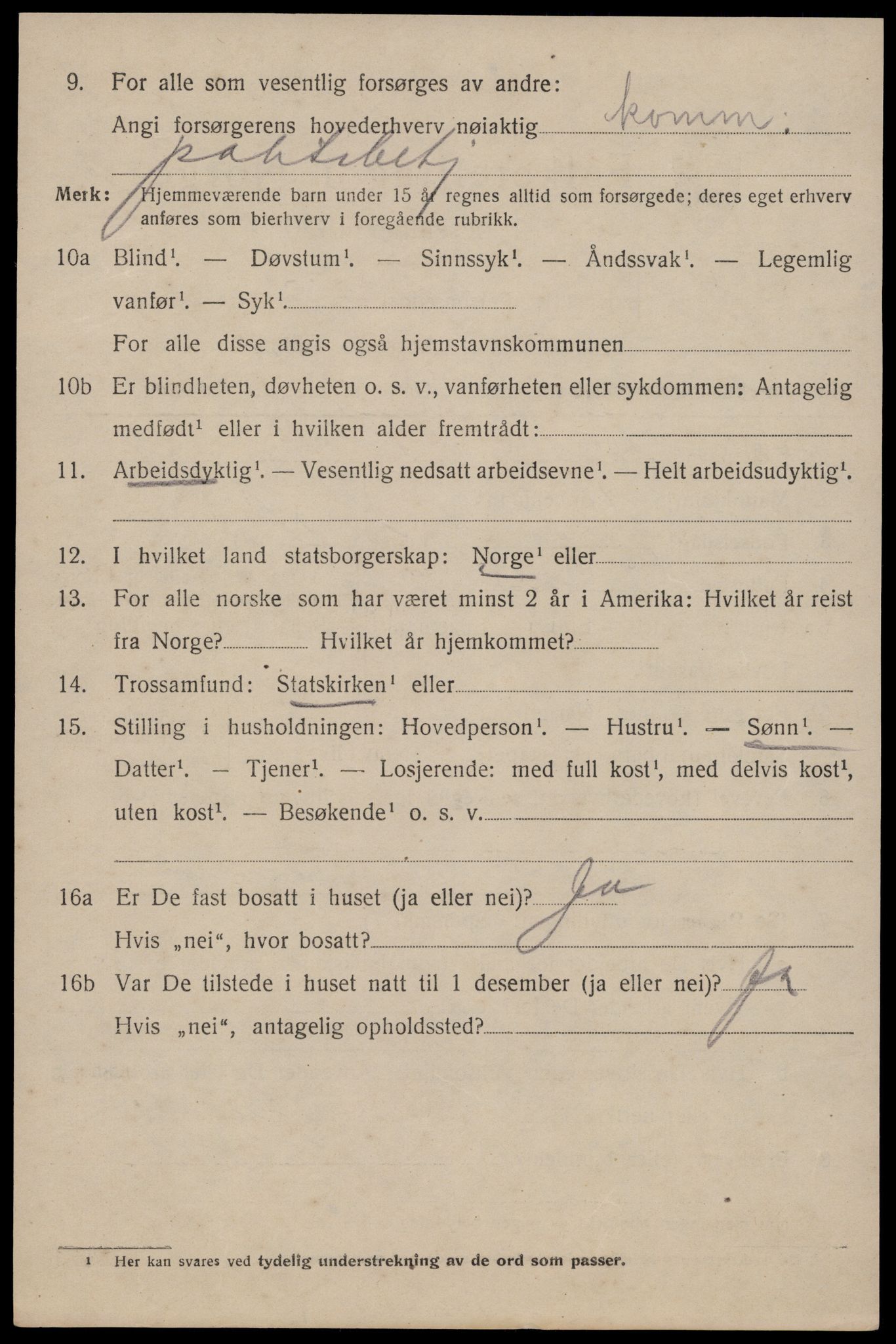 SAKO, 1920 census for Tinn, 1920, p. 8677