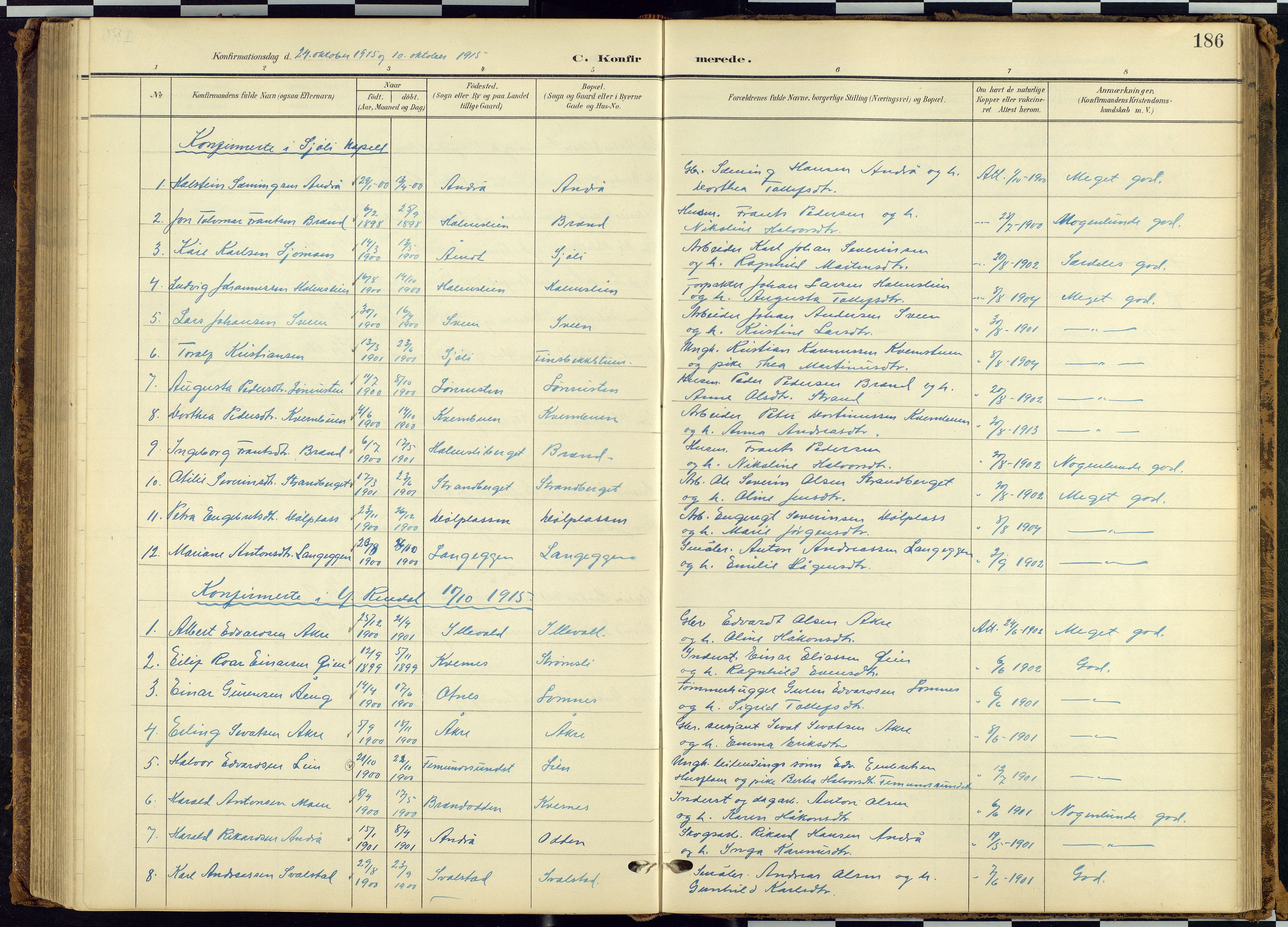 Rendalen prestekontor, AV/SAH-PREST-054/H/Ha/Hab/L0010: Parish register (copy) no. 10, 1903-1940, p. 186