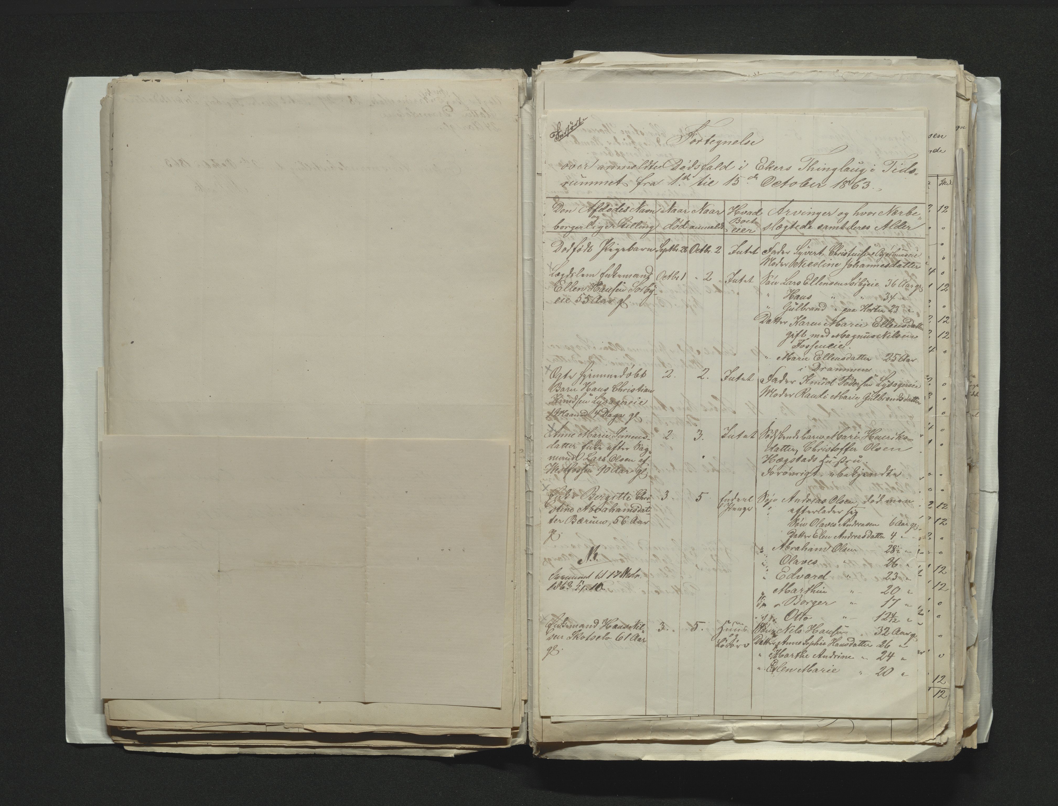 Eiker, Modum og Sigdal sorenskriveri, AV/SAKO-A-123/H/Ha/Hab/L0011: Dødsfallsmeldinger, 1862-1865, p. 207