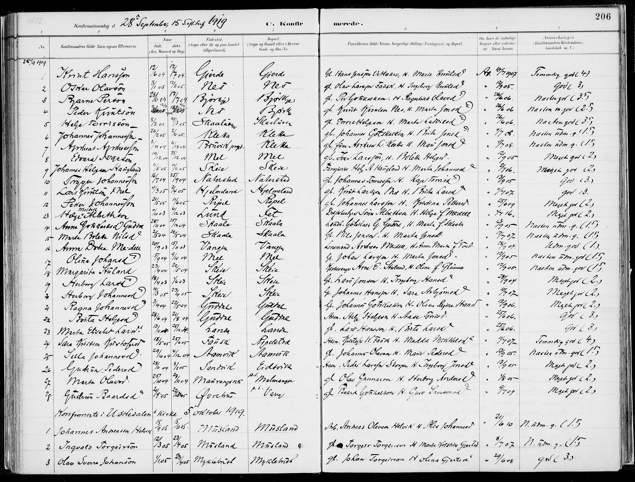 Kvinnherad sokneprestembete, SAB/A-76401/H/Haa: Parish register (official) no. B  1, 1887-1921, p. 206