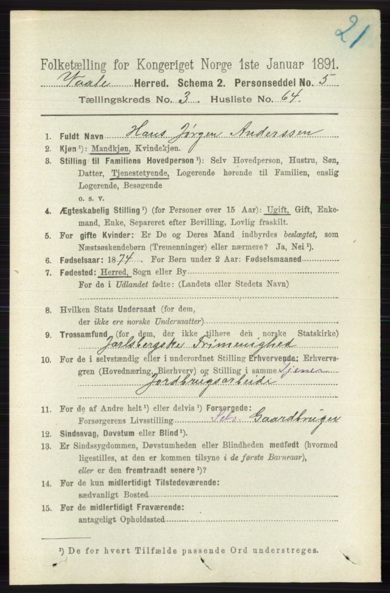 RA, 1891 census for 0716 Våle, 1891, p. 916