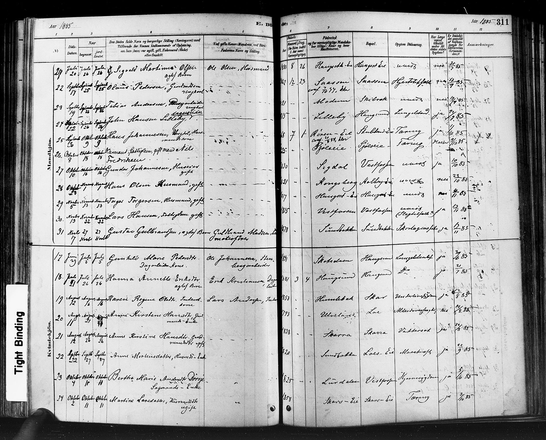 Eiker kirkebøker, SAKO/A-4/F/Fb/L0001: Parish register (official) no. II 1, 1878-1888, p. 311