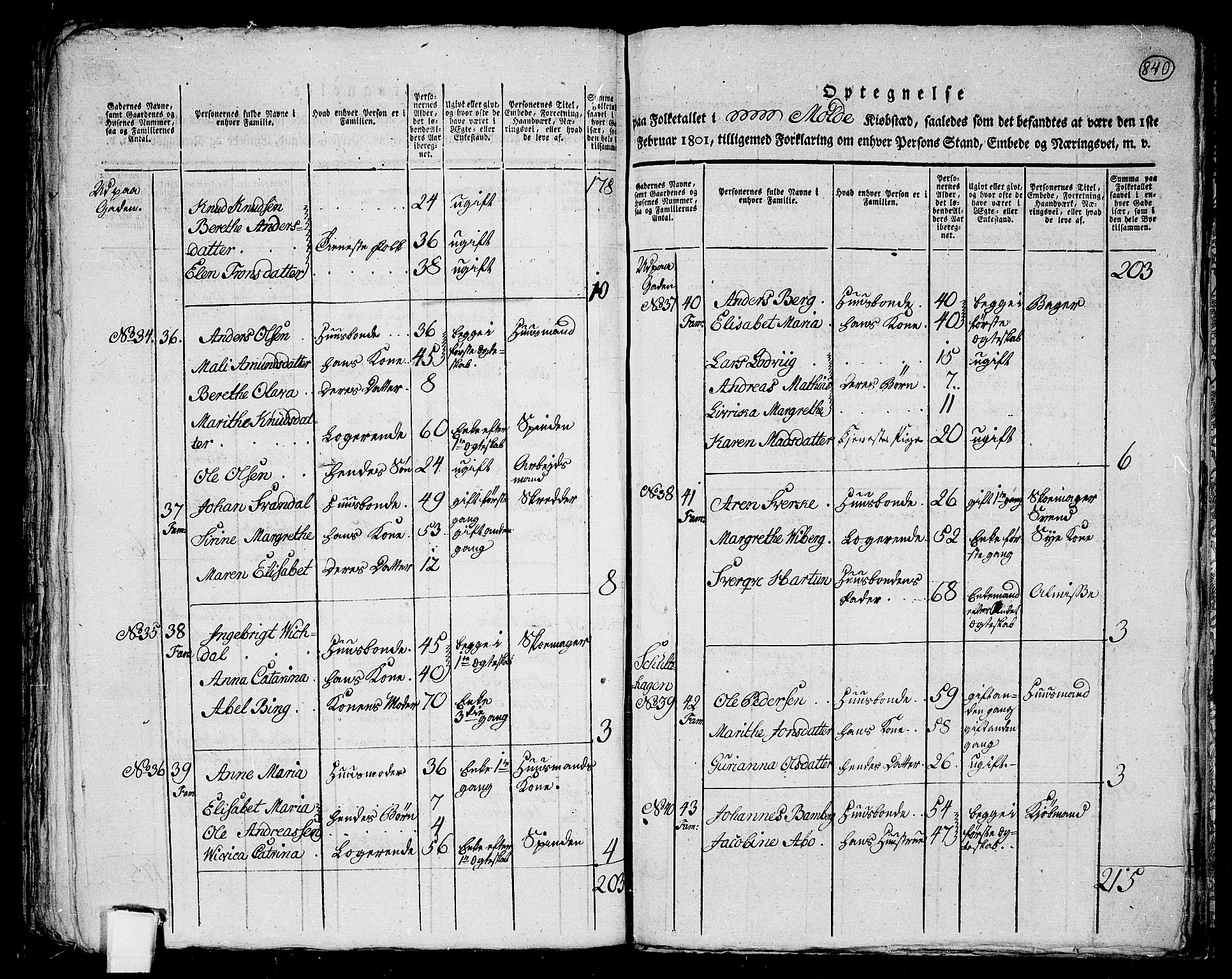 RA, 1801 census for 1544P Bolsøy, 1801, p. 839b-840a