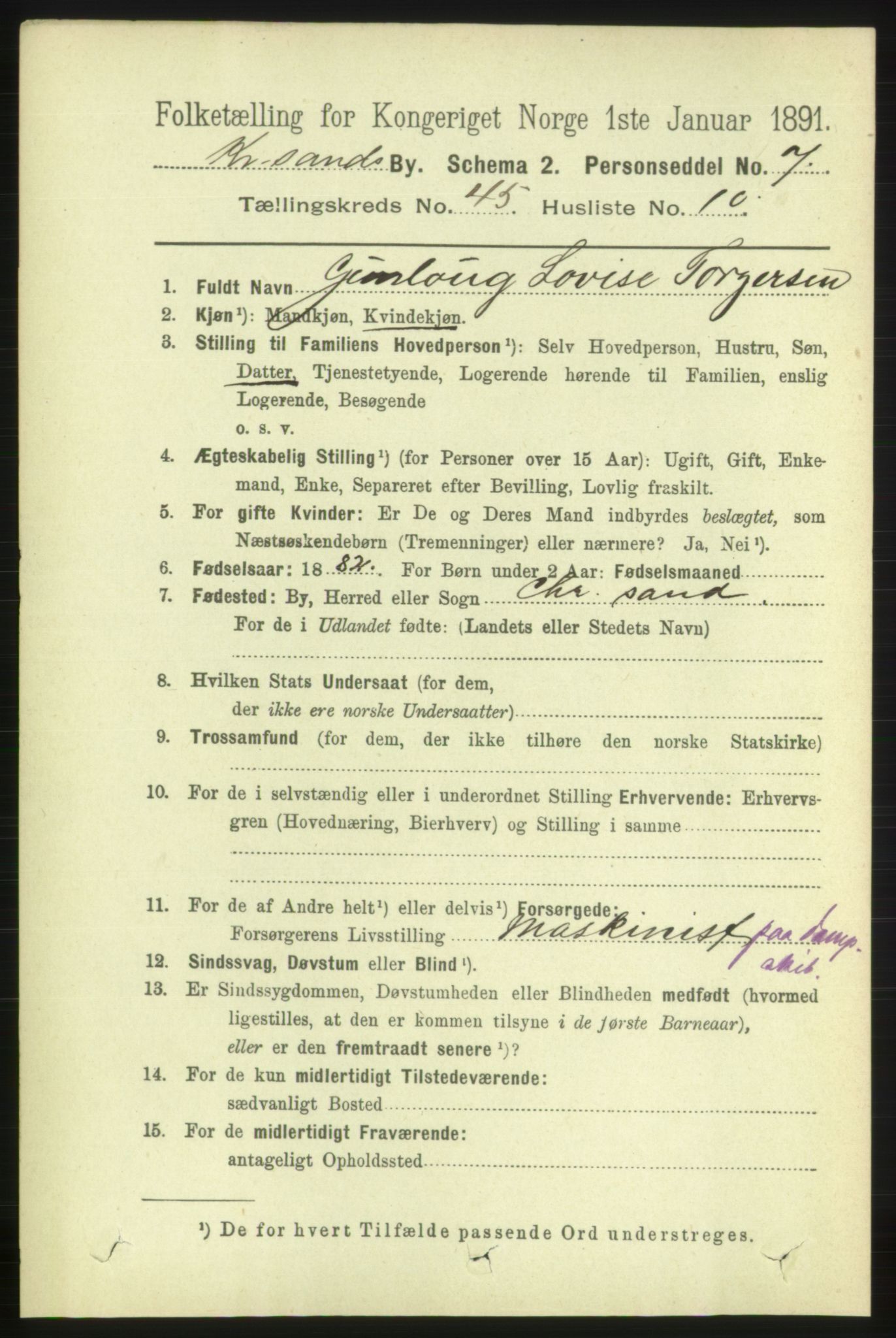 RA, 1891 census for 1001 Kristiansand, 1891, p. 13995