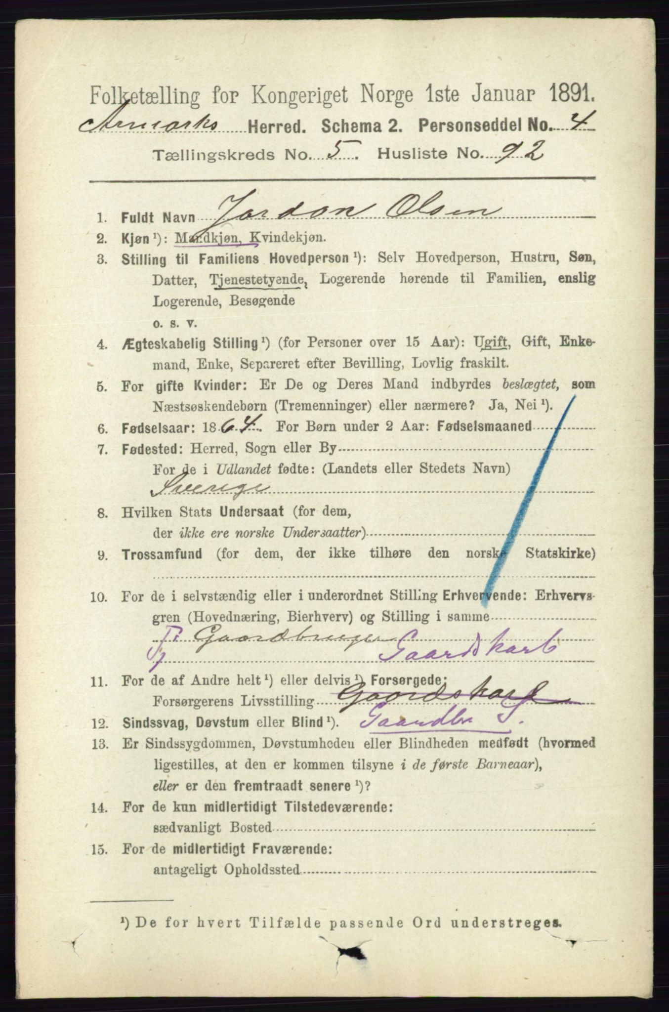 RA, 1891 census for 0118 Aremark, 1891, p. 2991