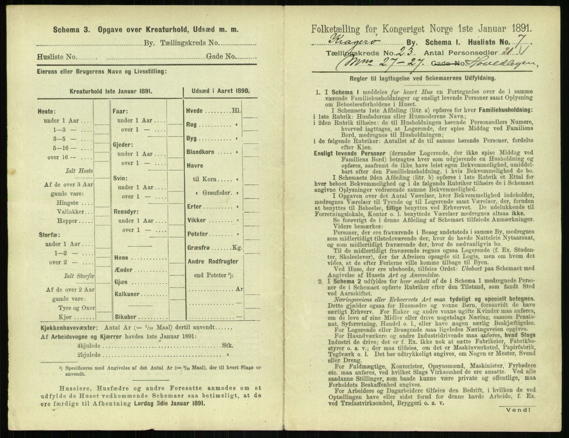 RA, 1891 census for 0801 Kragerø, 1891, p. 896