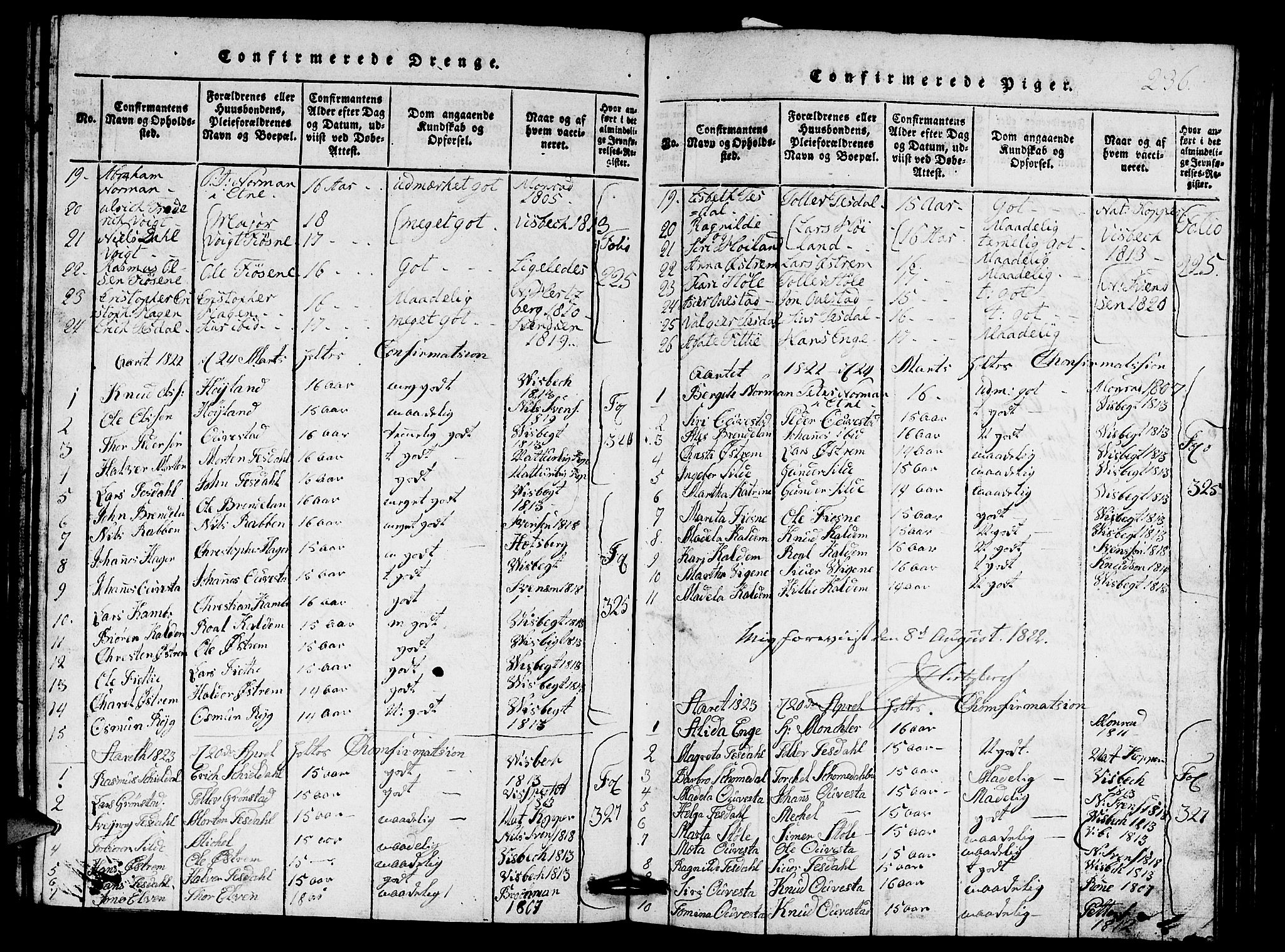 Etne sokneprestembete, SAB/A-75001/H/Hab: Parish register (copy) no. A 1, 1815-1849, p. 236