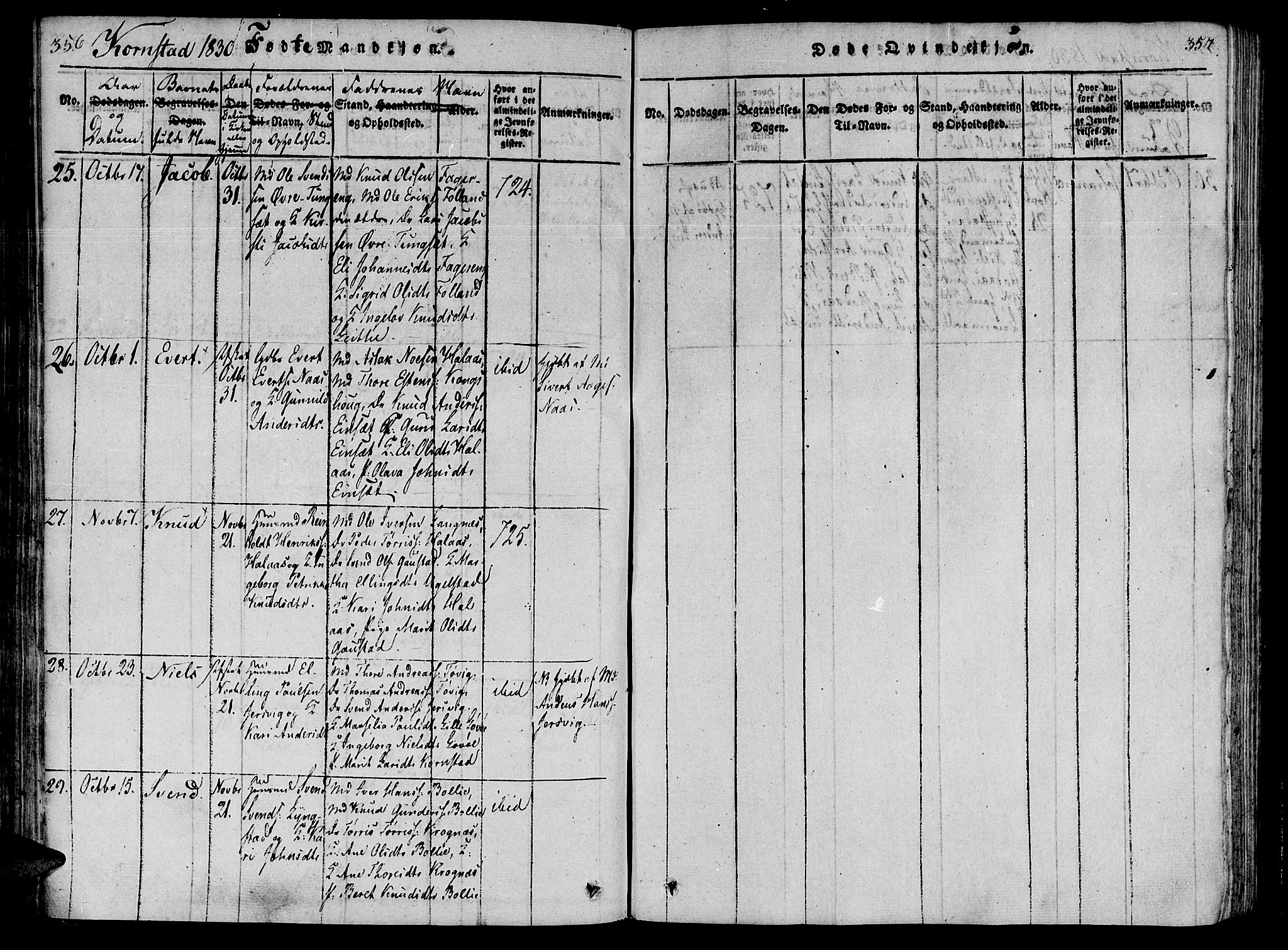 Ministerialprotokoller, klokkerbøker og fødselsregistre - Møre og Romsdal, AV/SAT-A-1454/568/L0800: Parish register (official) no. 568A09 /3, 1820-1830, p. 356-357