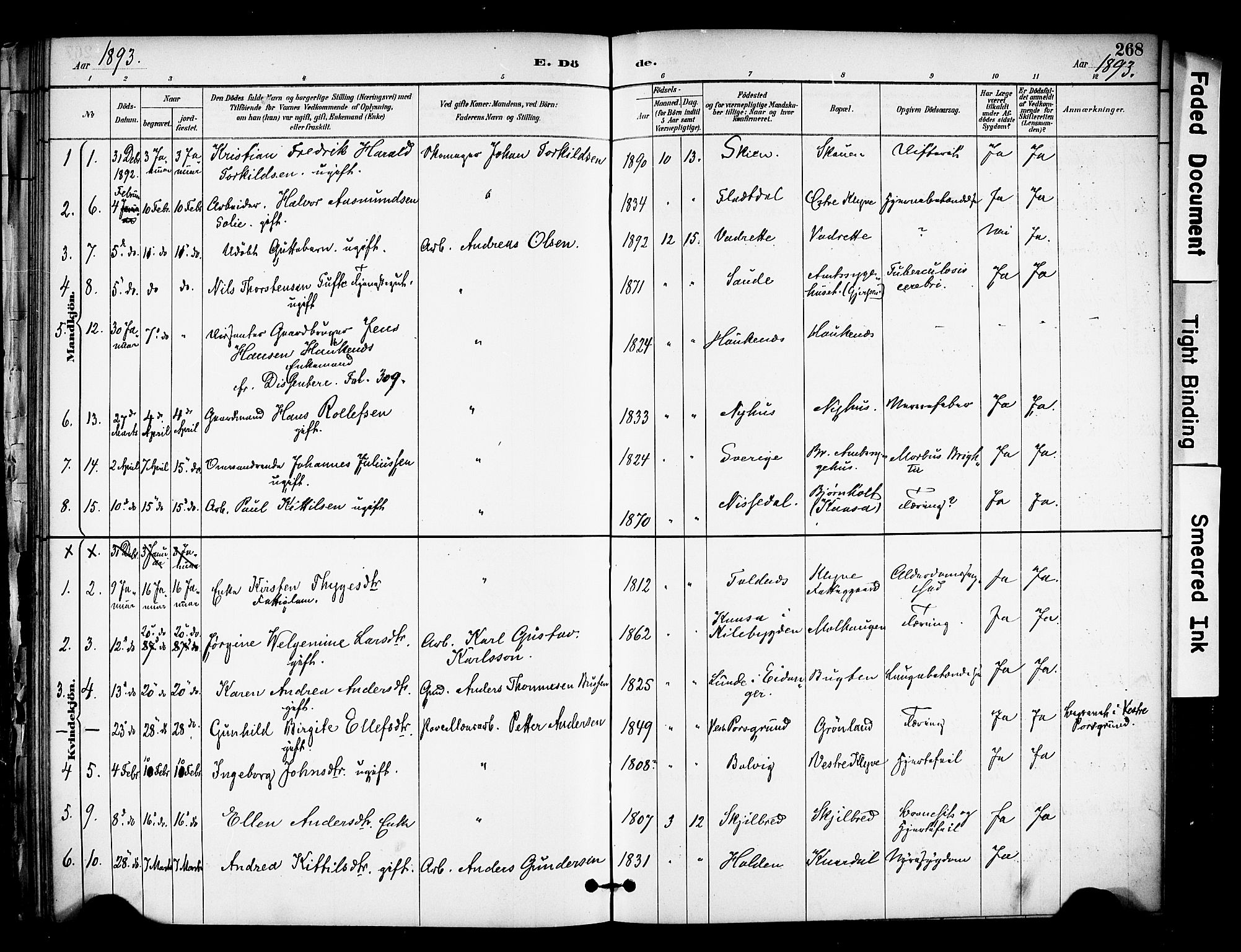 Solum kirkebøker, AV/SAKO-A-306/F/Fa/L0010: Parish register (official) no. I 10, 1888-1898, p. 268