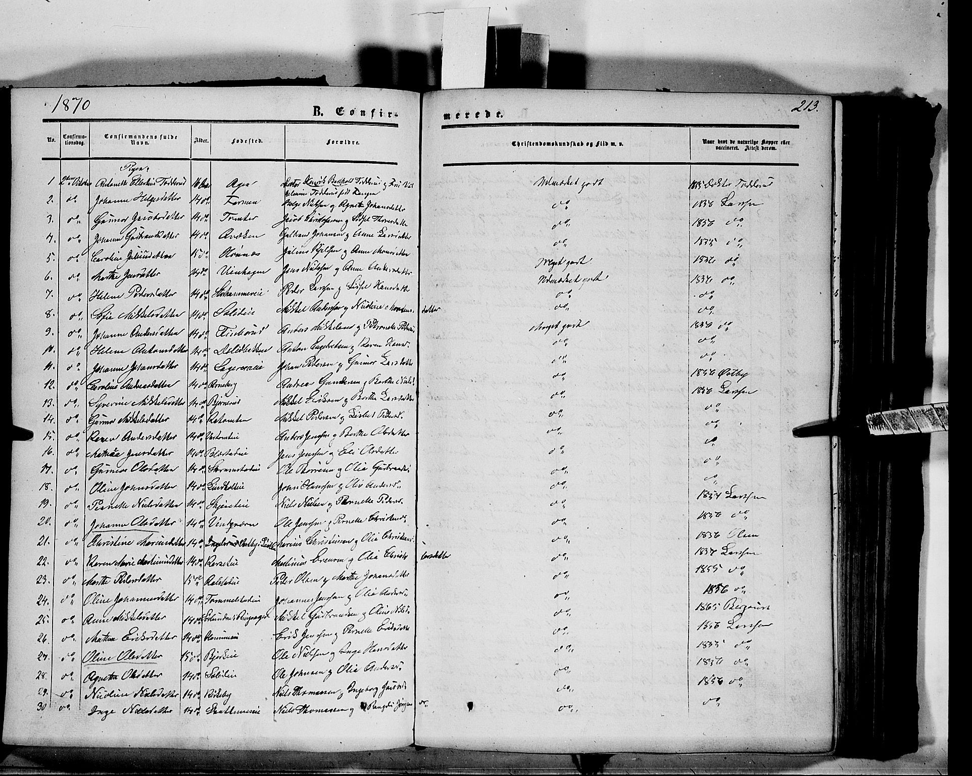 Vang prestekontor, Hedmark, AV/SAH-PREST-008/H/Ha/Haa/L0012: Parish register (official) no. 12, 1855-1870, p. 213