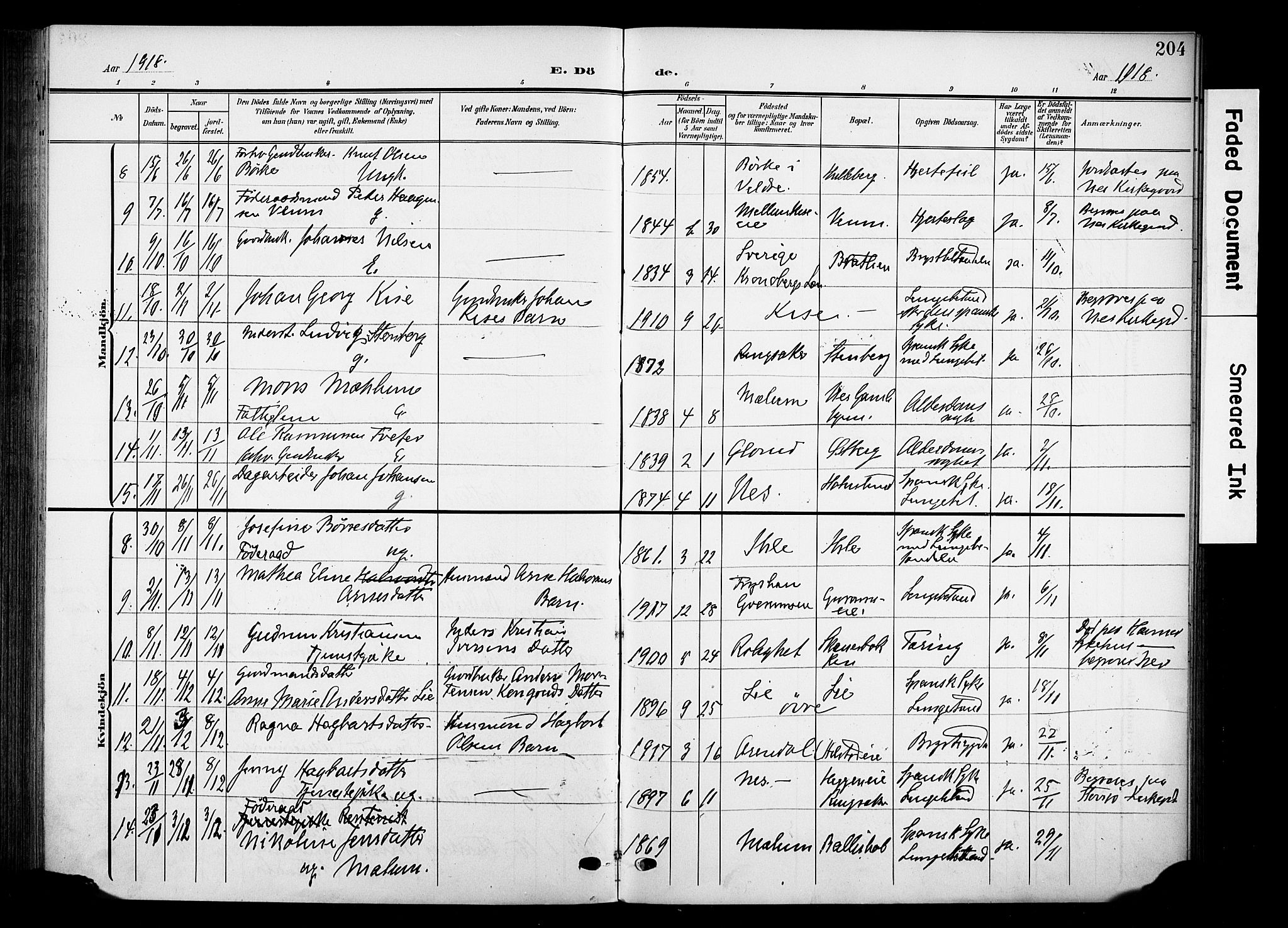 Nes prestekontor, Hedmark, SAH/PREST-020/K/Ka/L0013: Parish register (official) no. 13, 1906-1924, p. 204