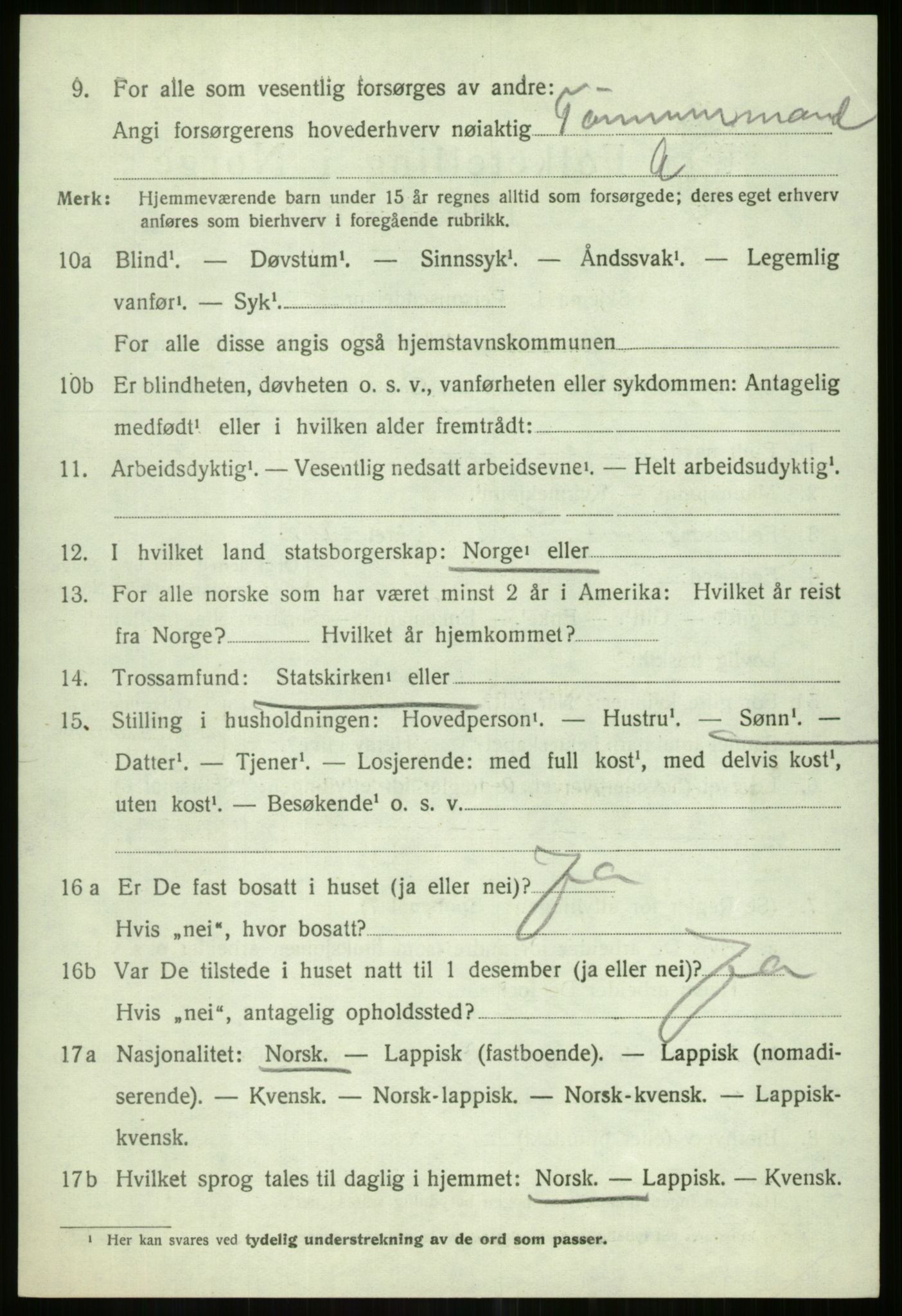 SATØ, 1920 census for Tromsøysund, 1920, p. 13875