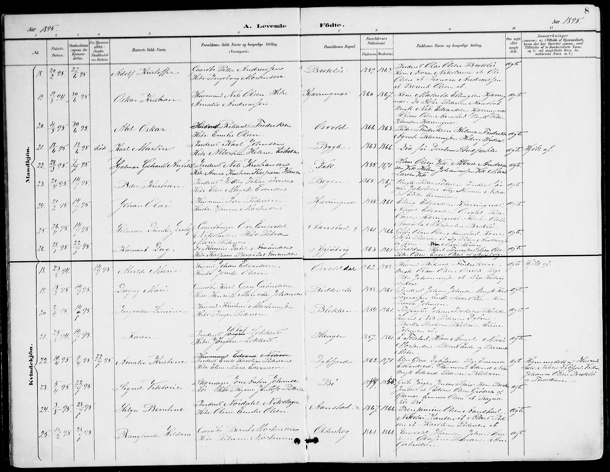 Ministerialprotokoller, klokkerbøker og fødselsregistre - Nordland, AV/SAT-A-1459/895/L1372: Parish register (official) no. 895A07, 1894-1914, p. 8