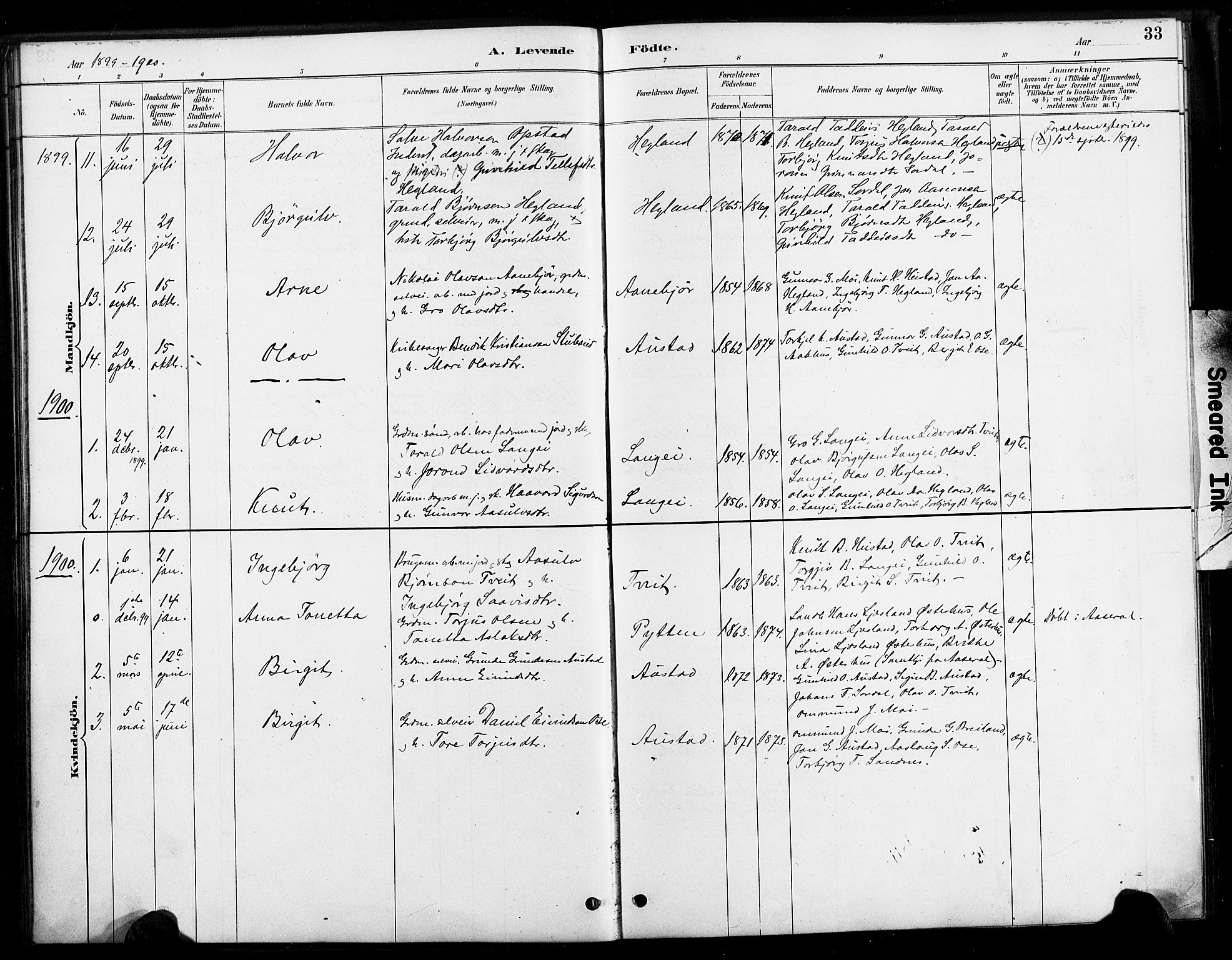 Bygland sokneprestkontor, SAK/1111-0006/F/Fa/Faa/L0001: Parish register (official) no. A 1, 1885-1908, p. 33