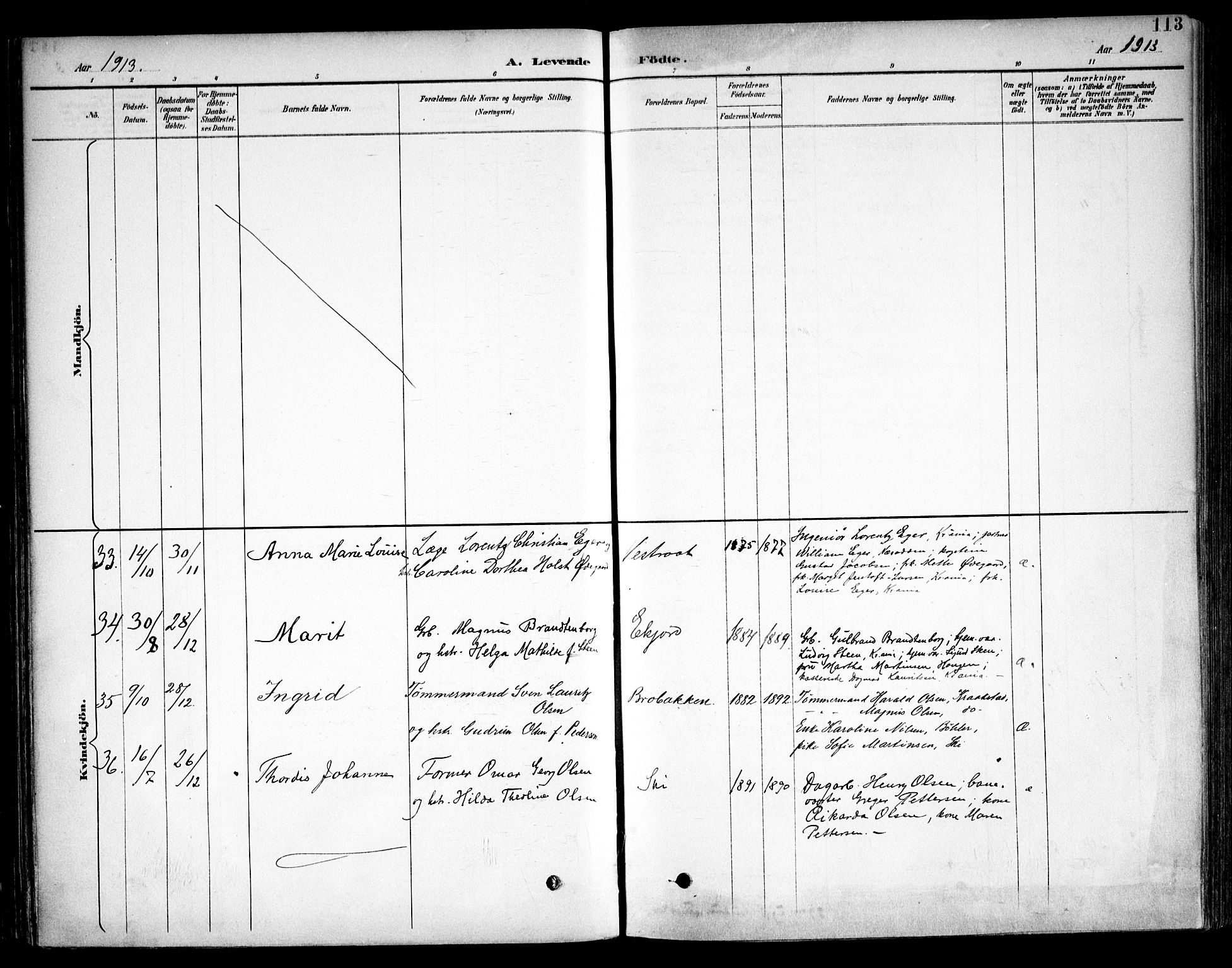 Kråkstad prestekontor Kirkebøker, AV/SAO-A-10125a/F/Fb/L0002: Parish register (official) no. II 2, 1893-1917, p. 113