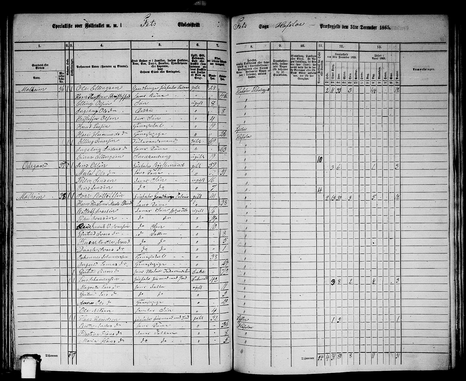 RA, 1865 census for Hafslo, 1865, p. 109