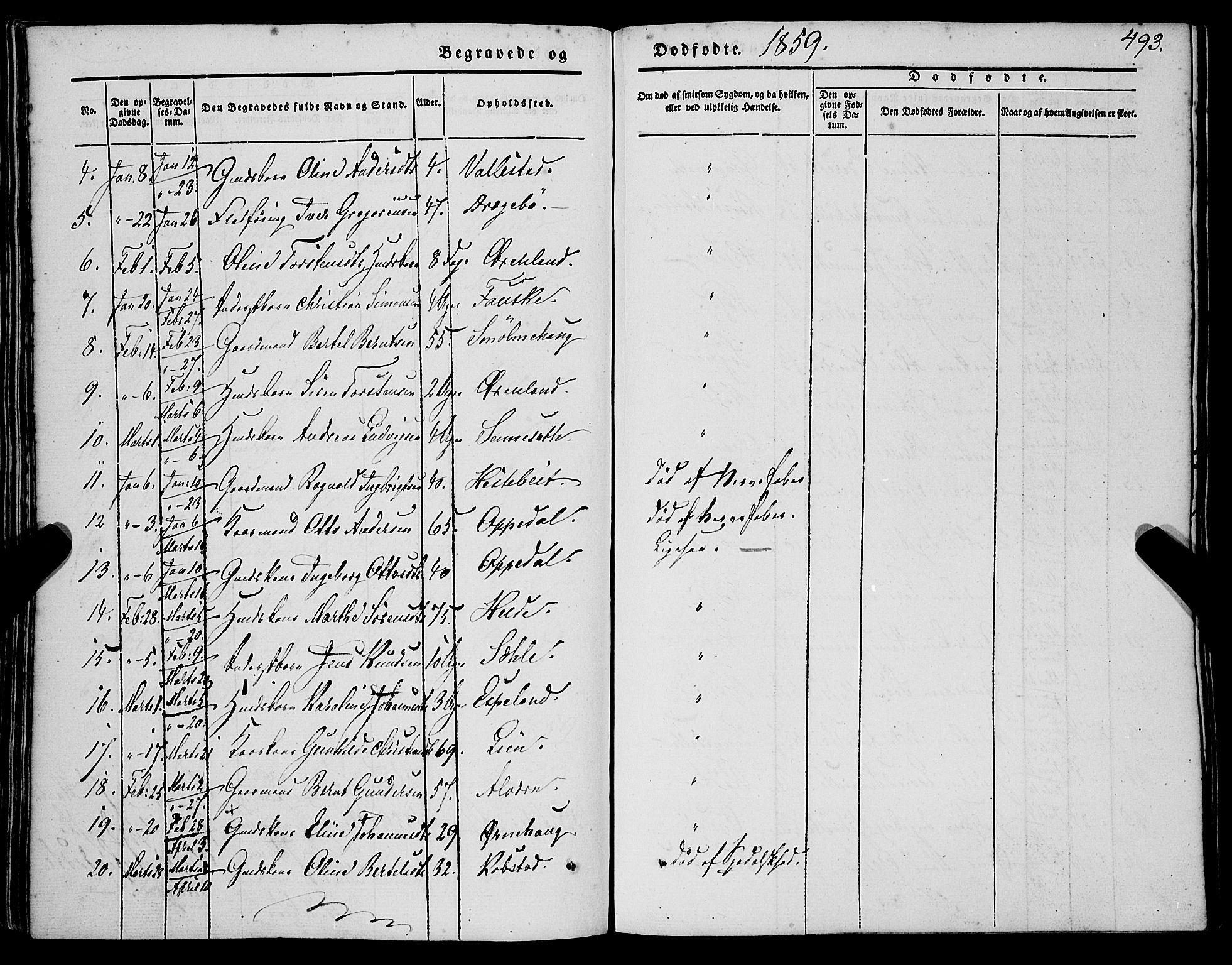 Gaular sokneprestembete, AV/SAB-A-80001/H/Haa: Parish register (official) no. A 4II, 1841-1859, p. 493