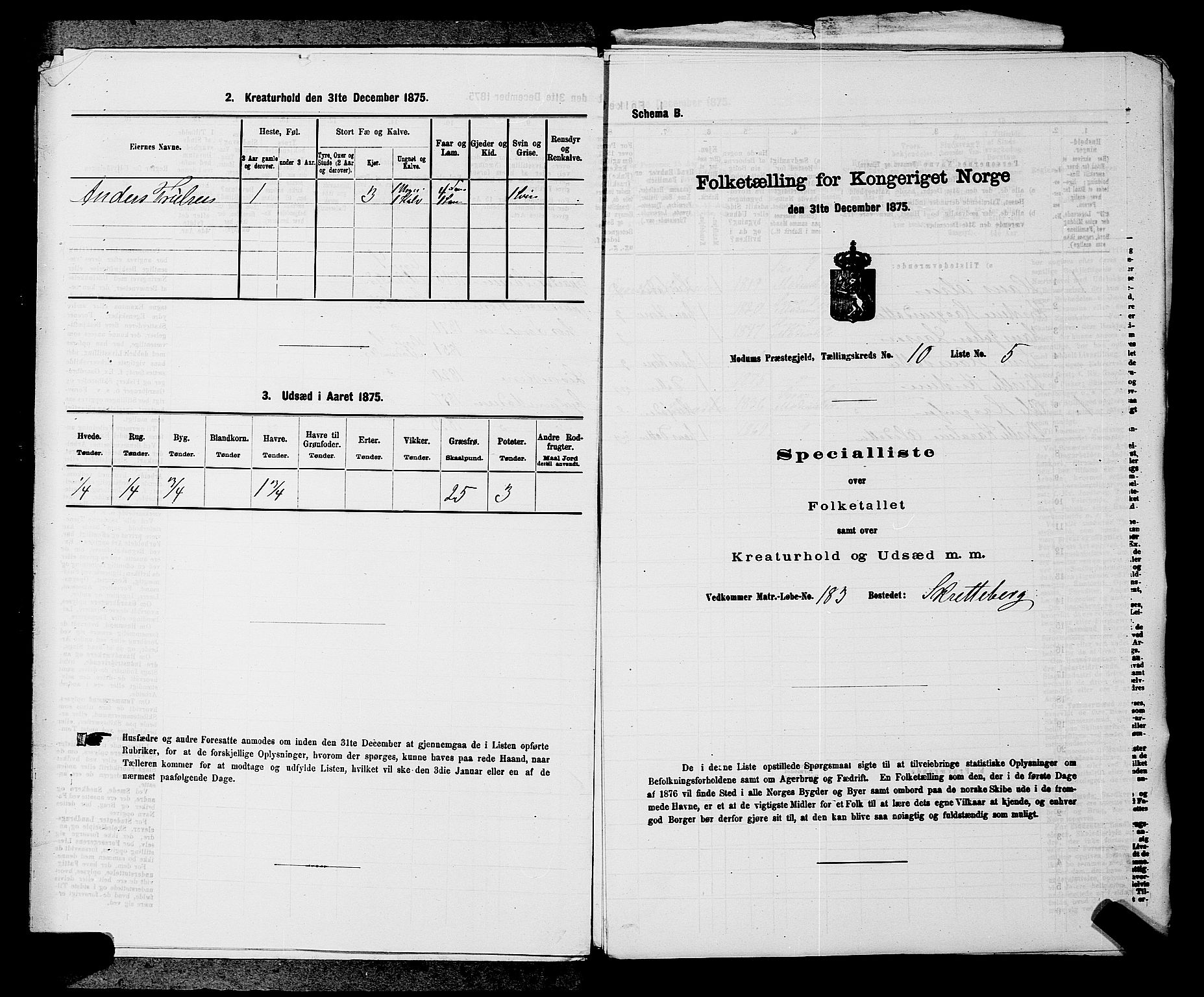 SAKO, 1875 census for 0623P Modum, 1875, p. 1157