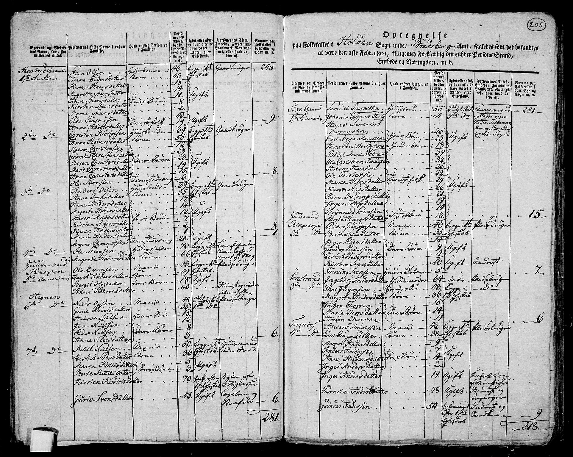 RA, 1801 census for 0819P Holla, 1801, p. 204b-205a