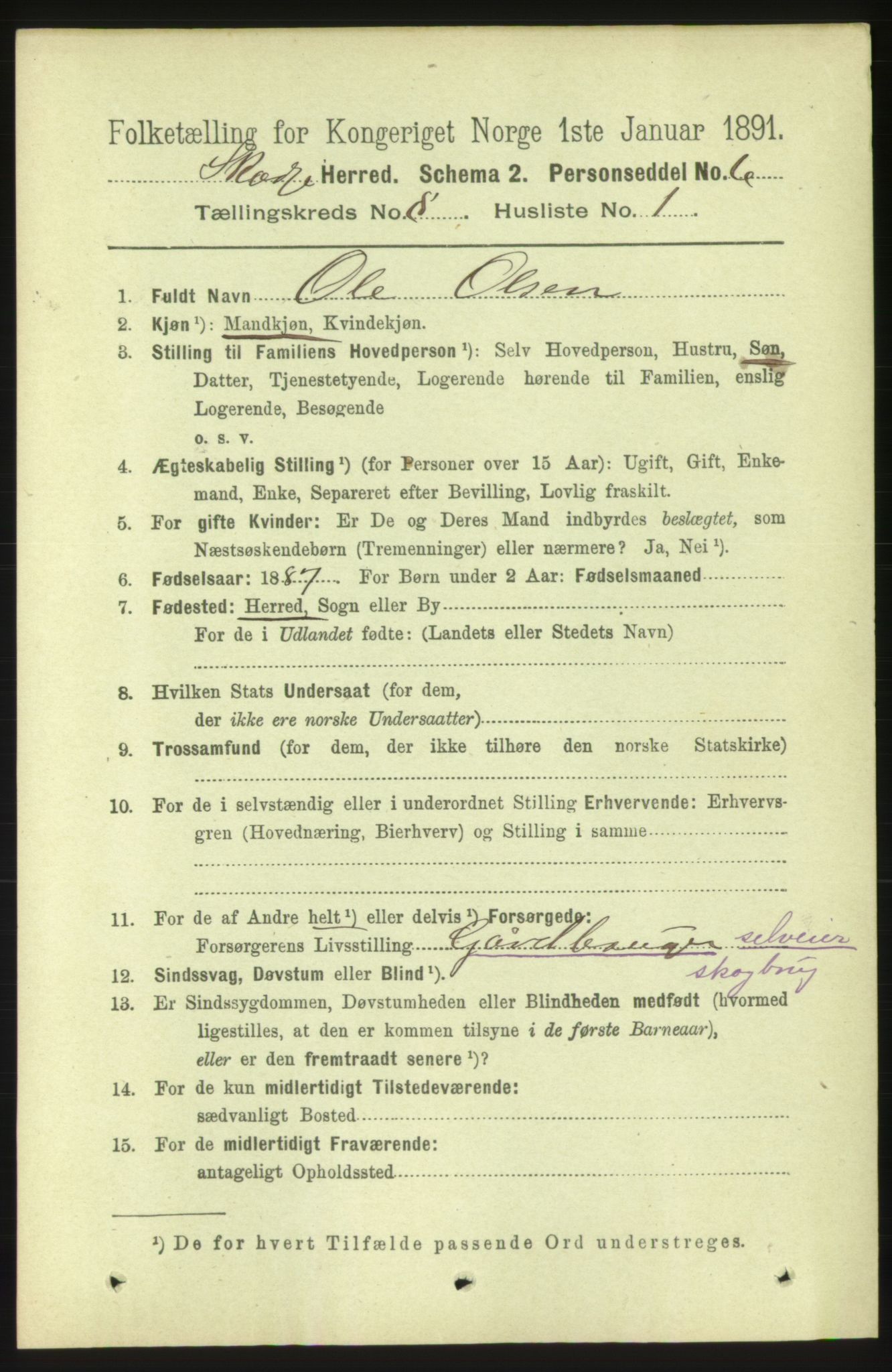 RA, 1891 census for 1529 Skodje, 1891, p. 1699