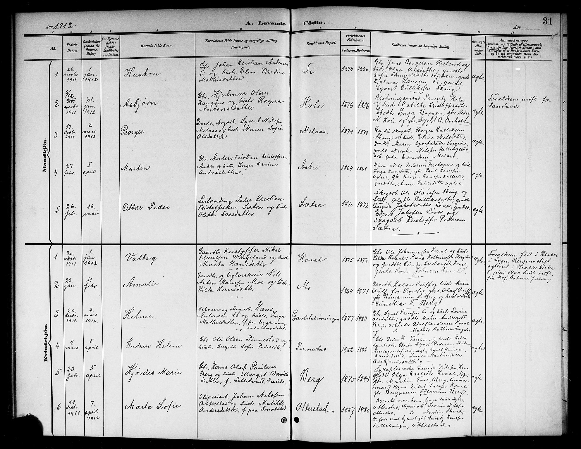 Lardal kirkebøker, SAKO/A-350/G/Ga/L0002: Parish register (copy) no. I 2, 1901-1916, p. 31