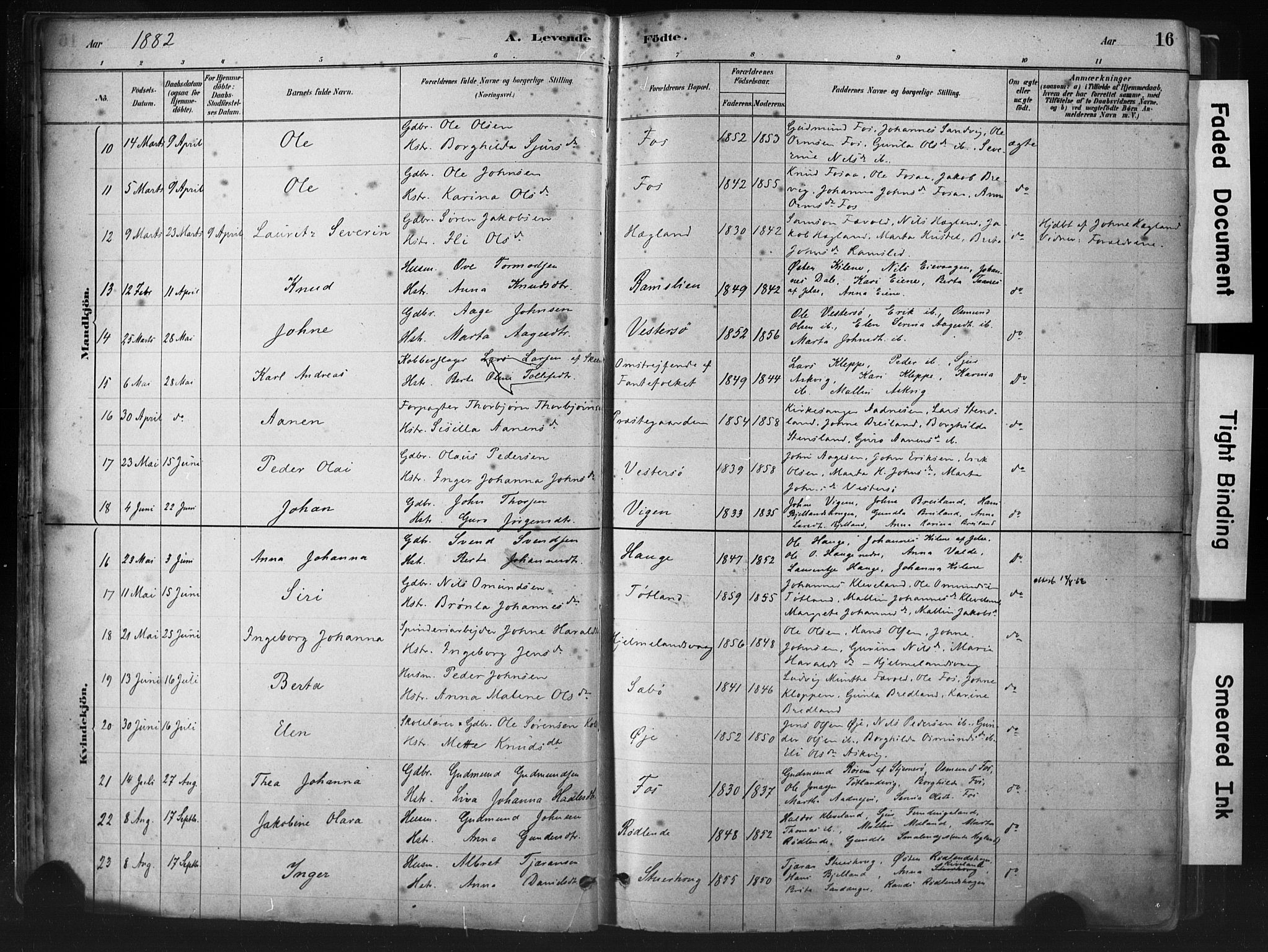 Hjelmeland sokneprestkontor, AV/SAST-A-101843/01/IV/L0014: Parish register (official) no. A 14, 1879-1900, p. 16