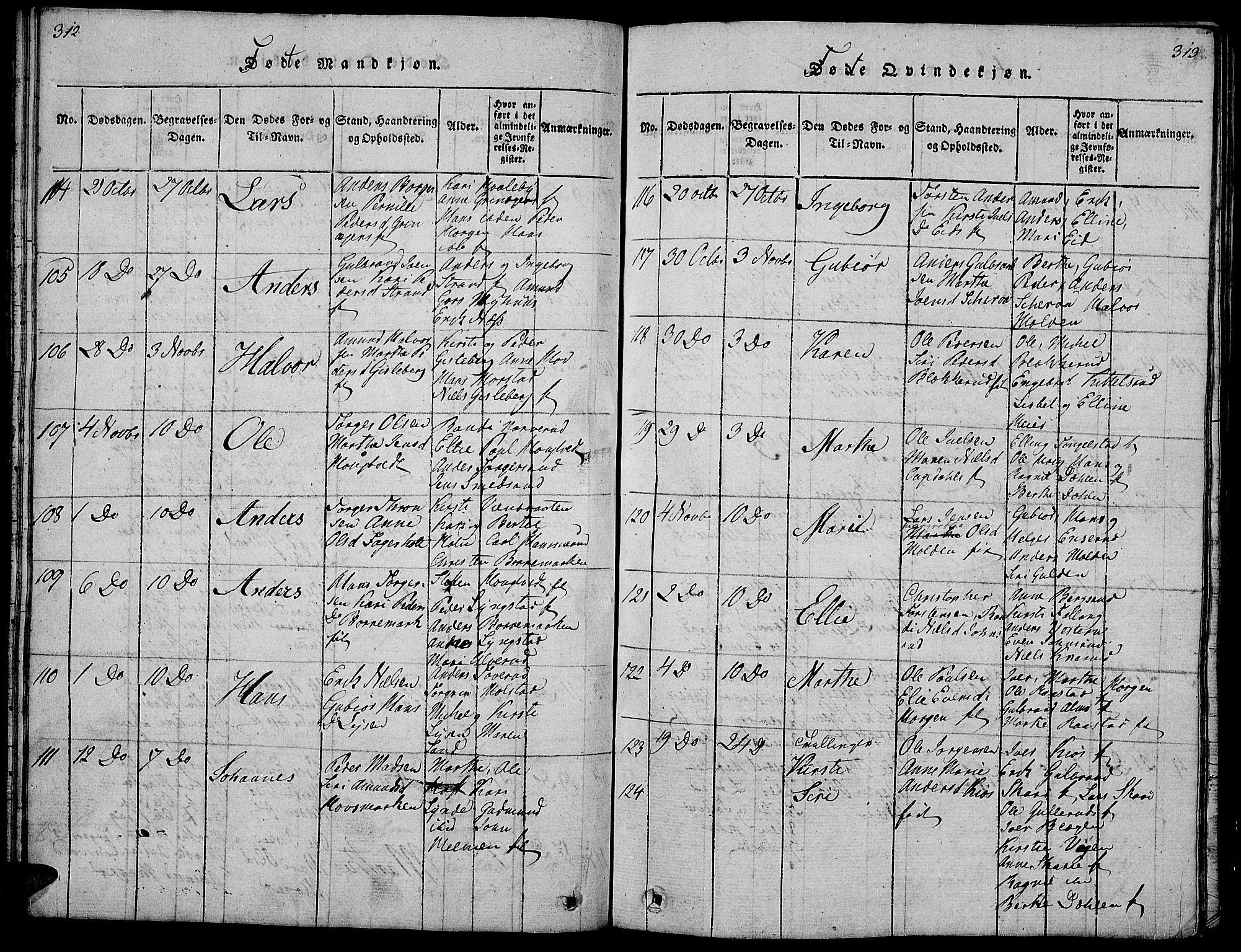 Gran prestekontor, SAH/PREST-112/H/Ha/Hab/L0001: Parish register (copy) no. 1, 1815-1824, p. 312-313