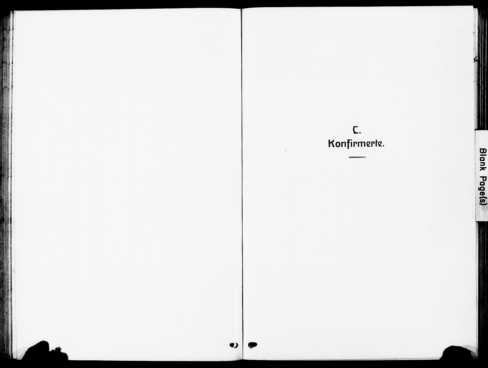 Ministerialprotokoller, klokkerbøker og fødselsregistre - Sør-Trøndelag, AV/SAT-A-1456/672/L0865: Parish register (copy) no. 672C04, 1914-1928