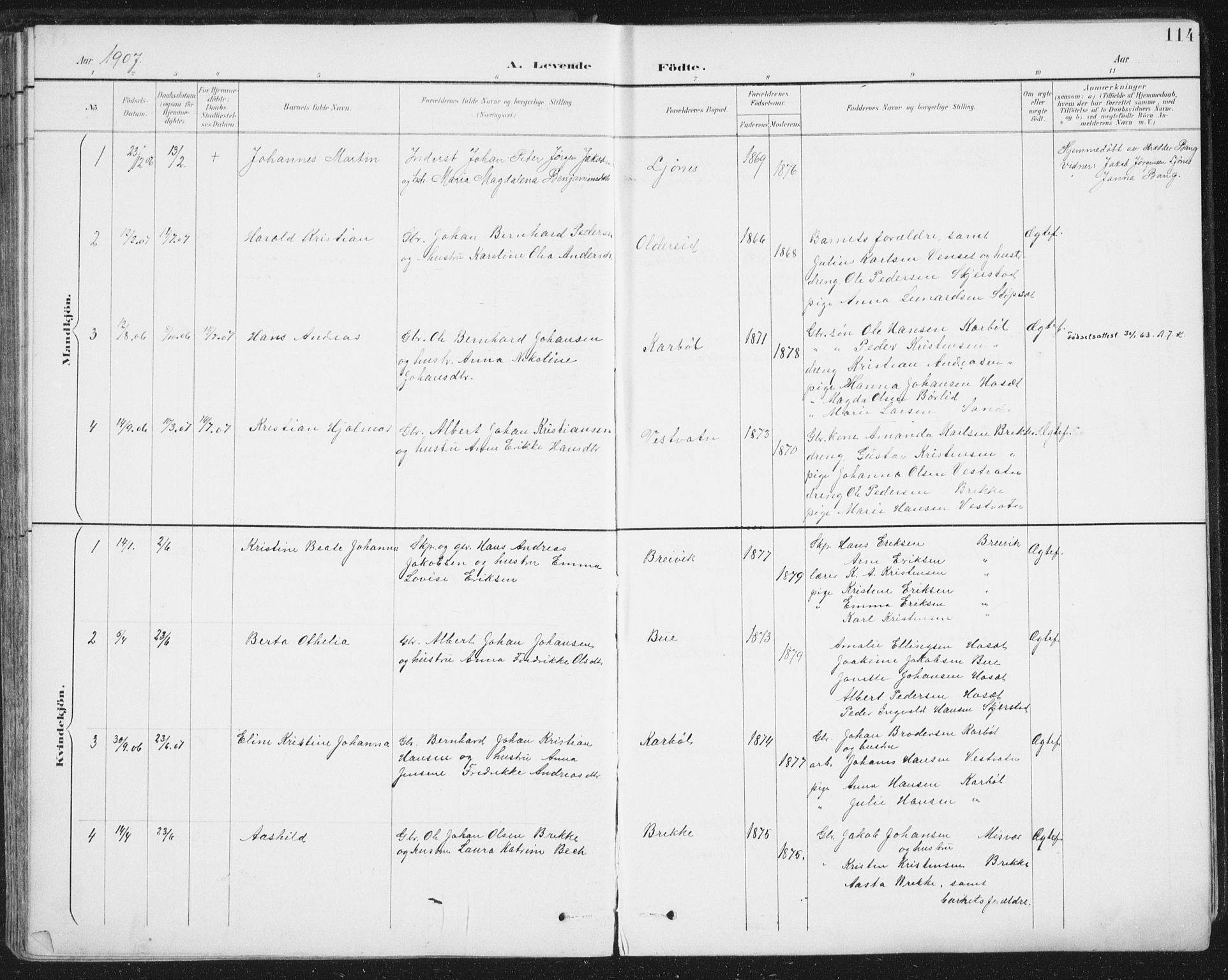 Ministerialprotokoller, klokkerbøker og fødselsregistre - Nordland, AV/SAT-A-1459/852/L0741: Parish register (official) no. 852A11, 1894-1917, p. 114