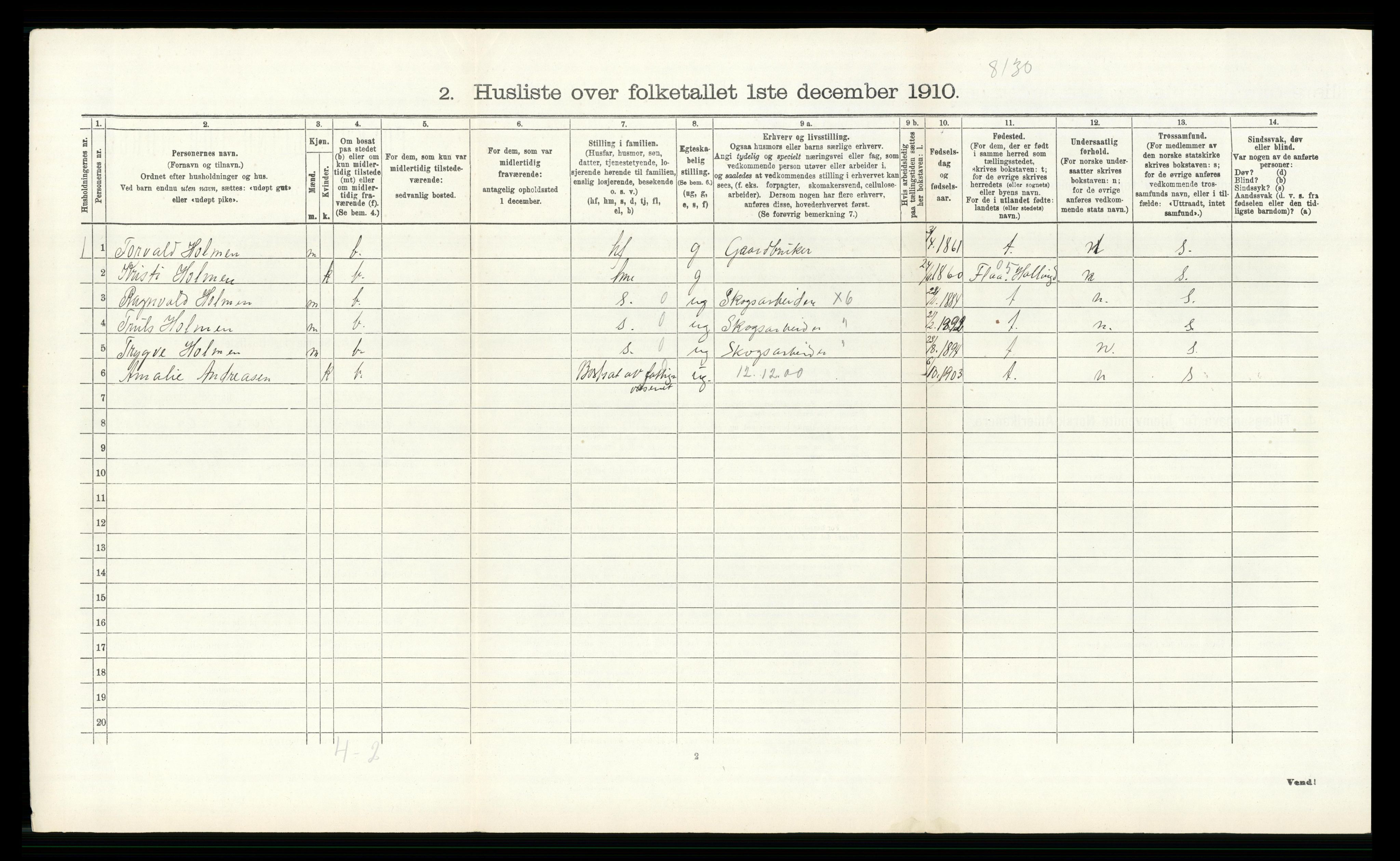 RA, 1910 census for Modum, 1910, p. 3019