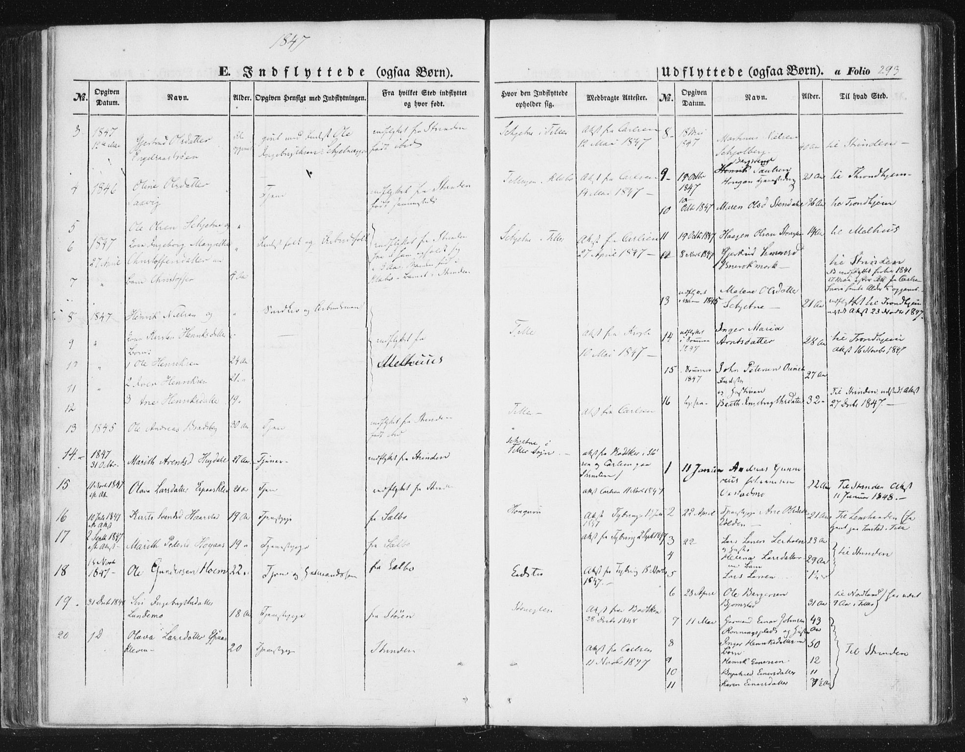 Ministerialprotokoller, klokkerbøker og fødselsregistre - Sør-Trøndelag, SAT/A-1456/618/L0441: Parish register (official) no. 618A05, 1843-1862, p. 293