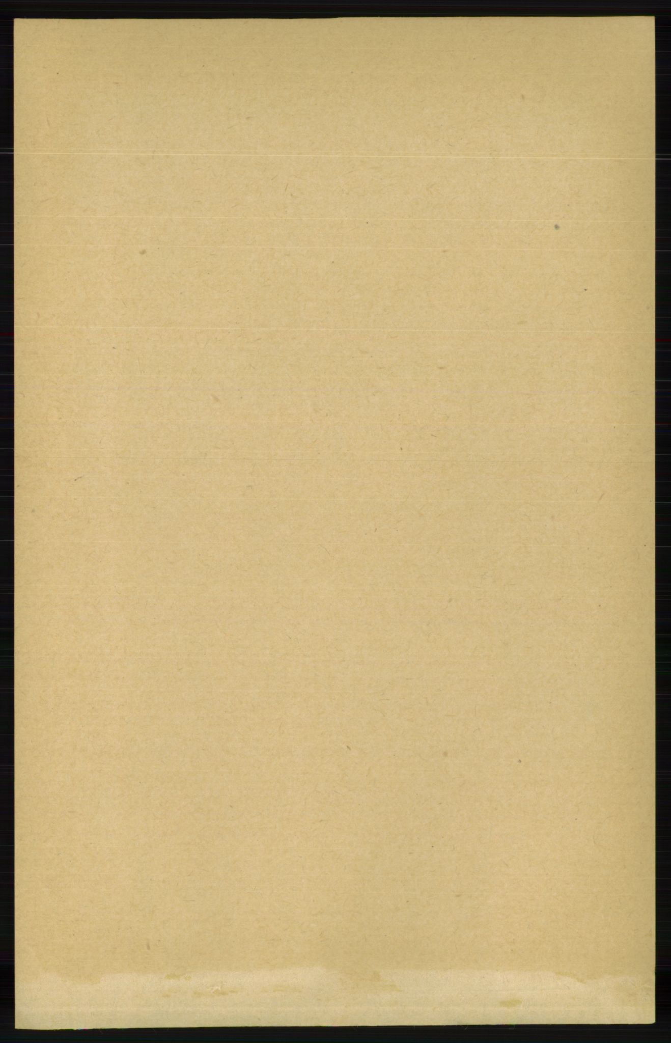RA, 1891 census for 1034 Hægebostad, 1891, p. 874