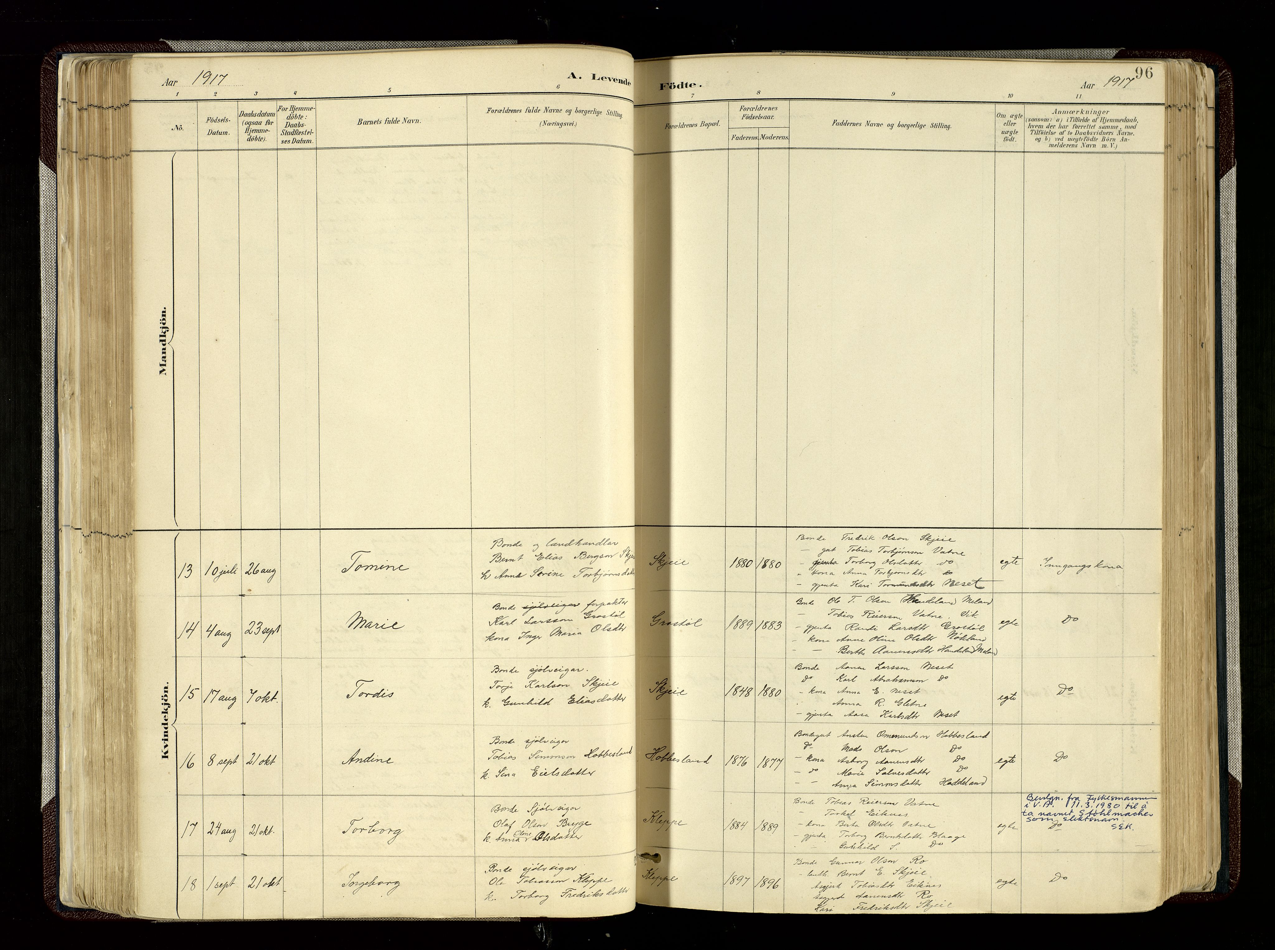 Hægebostad sokneprestkontor, SAK/1111-0024/F/Fa/Fab/L0004: Parish register (official) no. A 4, 1887-1929, p. 96