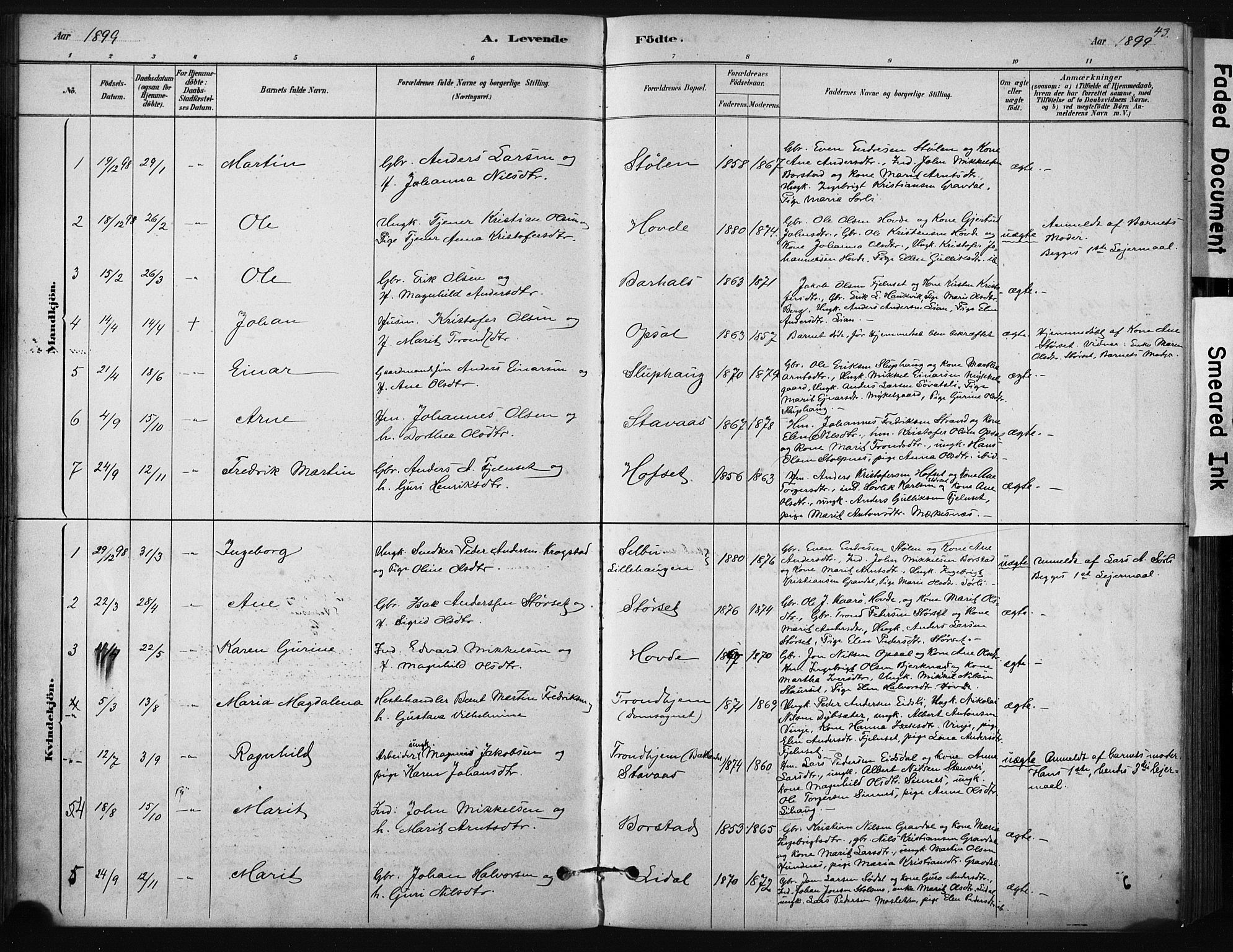 Ministerialprotokoller, klokkerbøker og fødselsregistre - Sør-Trøndelag, SAT/A-1456/631/L0512: Parish register (official) no. 631A01, 1879-1912, p. 43