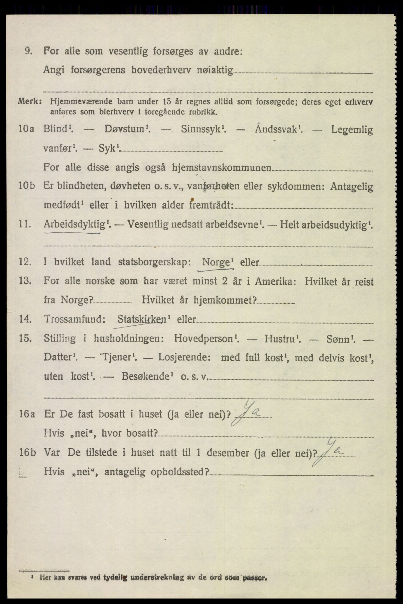 SAH, 1920 census for Hof, 1920, p. 4052