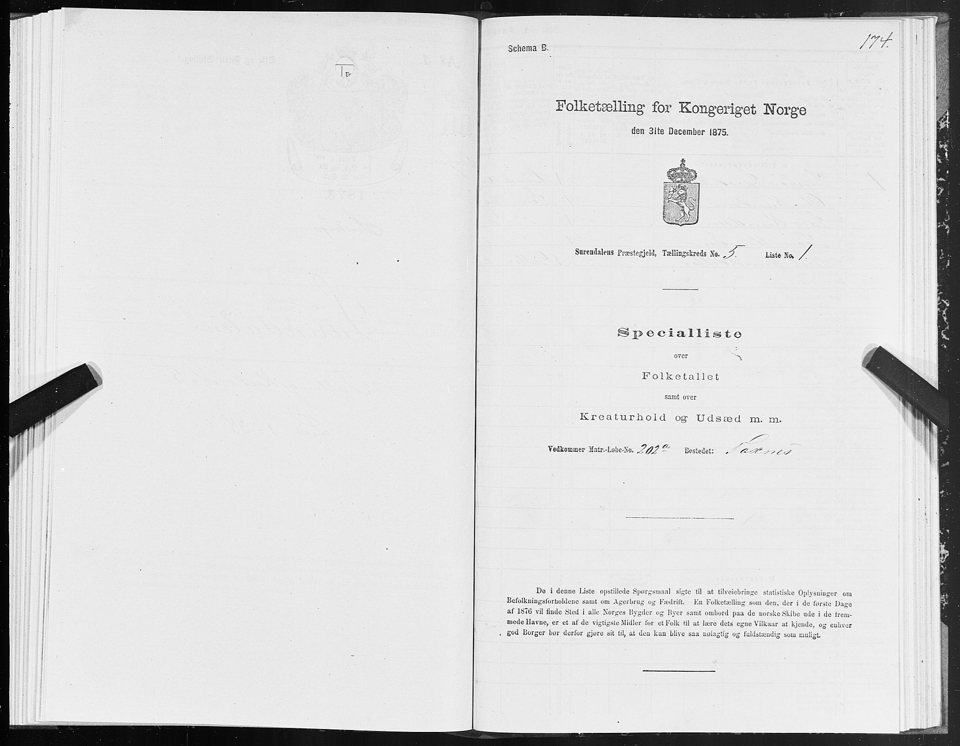 SAT, 1875 census for 1566P Surnadal, 1875, p. 2174