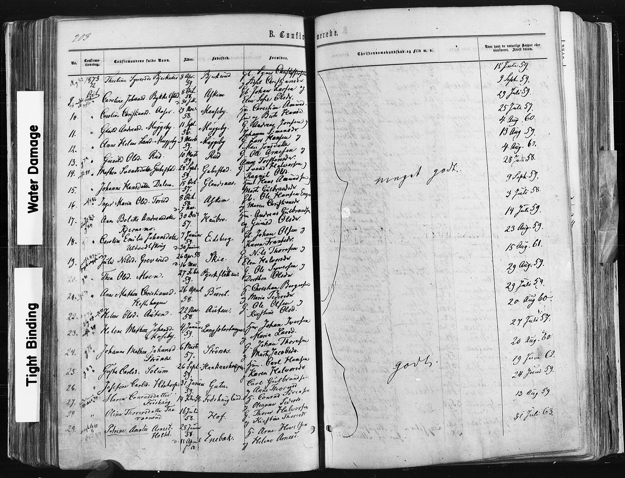 Trøgstad prestekontor Kirkebøker, SAO/A-10925/F/Fa/L0009: Parish register (official) no. I 9, 1865-1877, p. 203