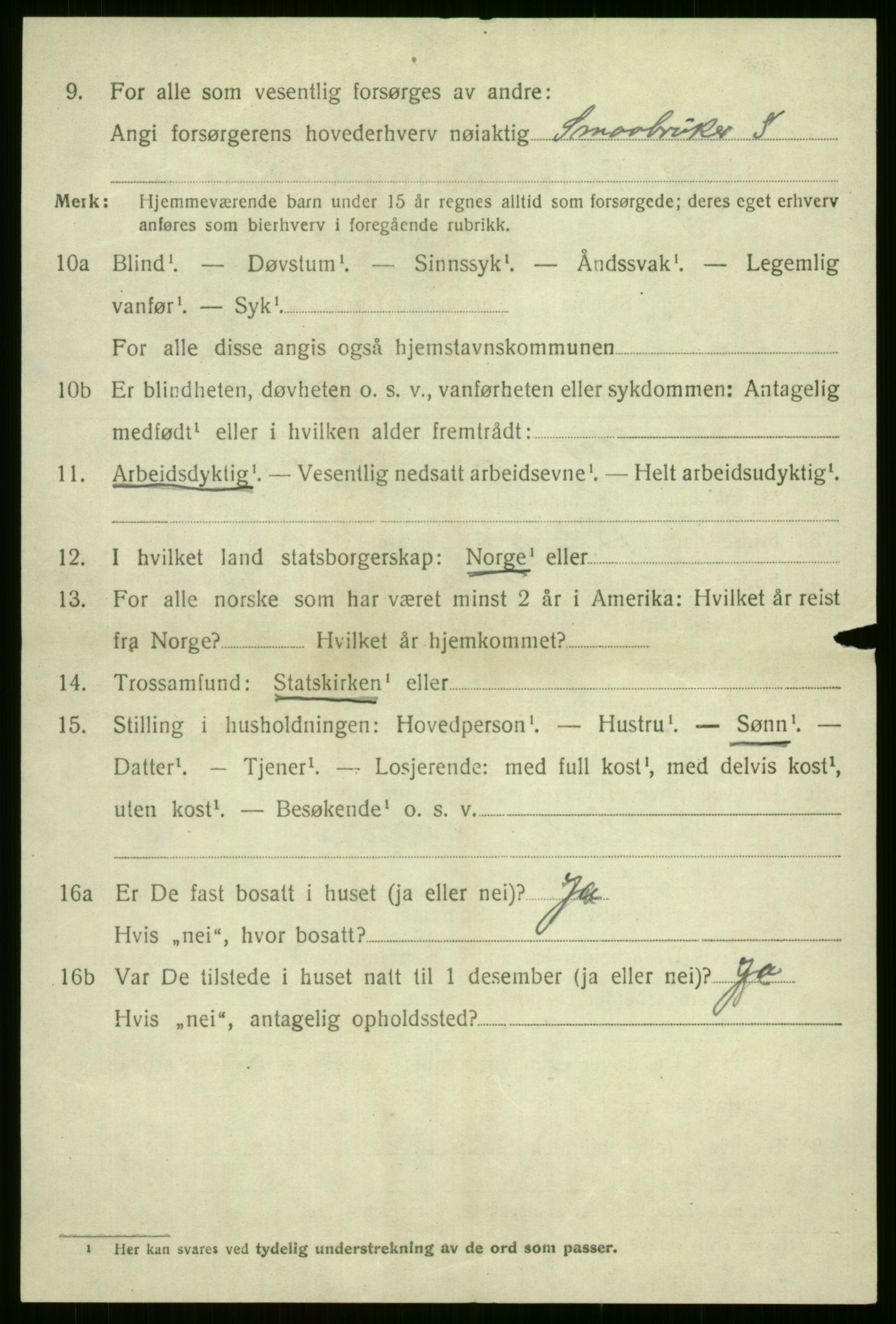 SAB, 1920 census for Voss, 1920, p. 3428