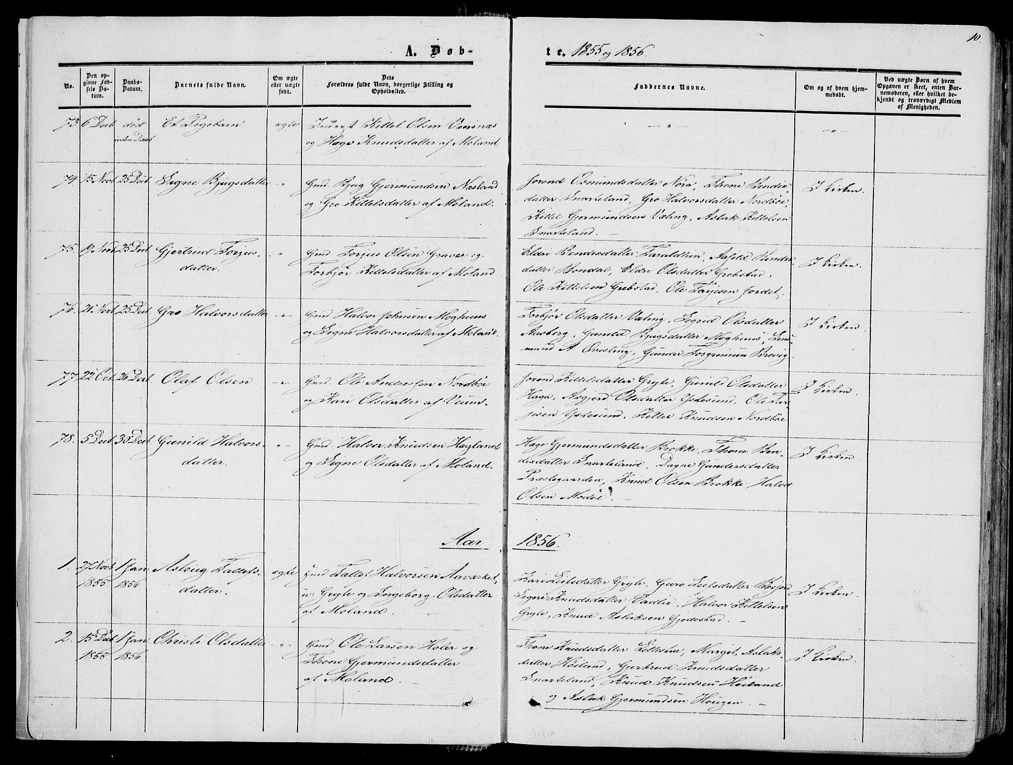 Fyresdal kirkebøker, SAKO/A-263/F/Fa/L0005: Parish register (official) no. I 5, 1855-1871, p. 10