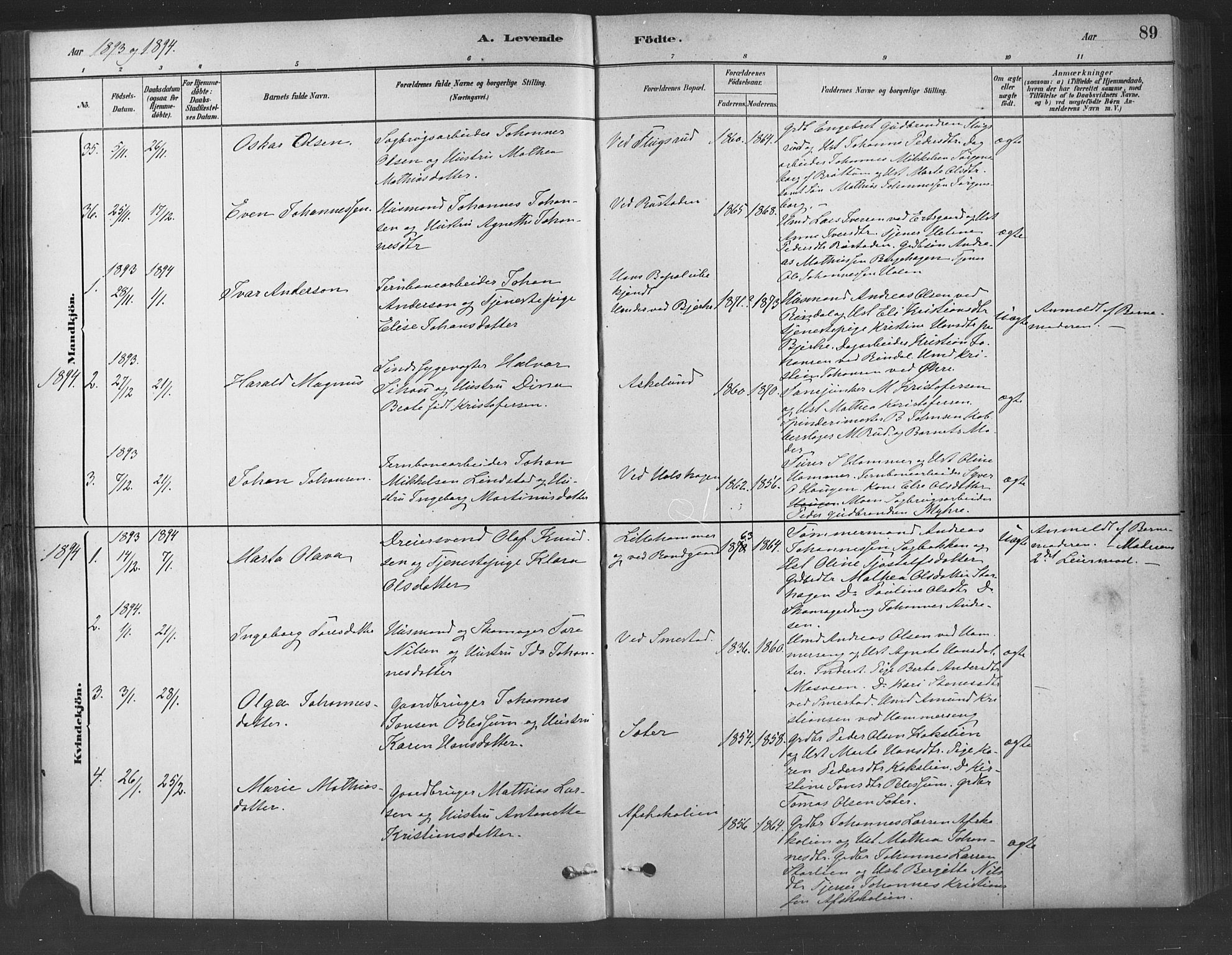Fåberg prestekontor, SAH/PREST-086/H/Ha/Haa/L0009: Parish register (official) no. 9, 1879-1898, p. 89