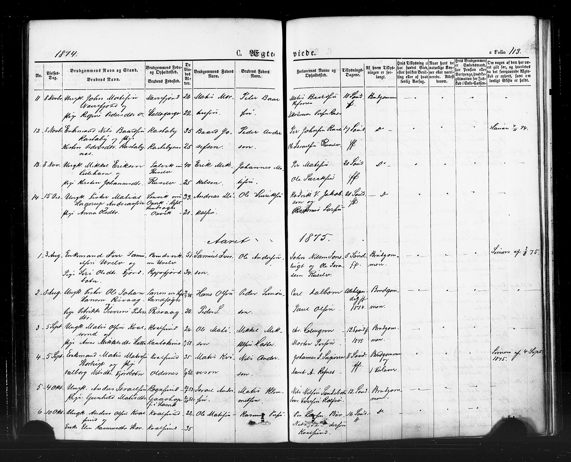 Hammerfest sokneprestkontor, SATØ/S-1347/H/Ha/L0007.kirke: Parish register (official) no. 7, 1869-1884, p. 113