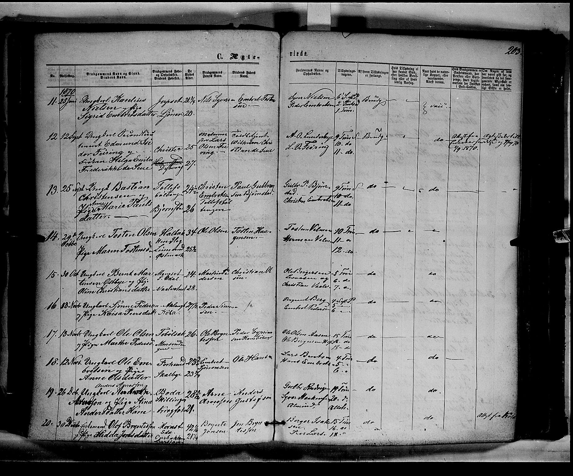 Eidskog prestekontor, AV/SAH-PREST-026/H/Ha/Haa/L0002: Parish register (official) no. 2, 1867-1878, p. 203