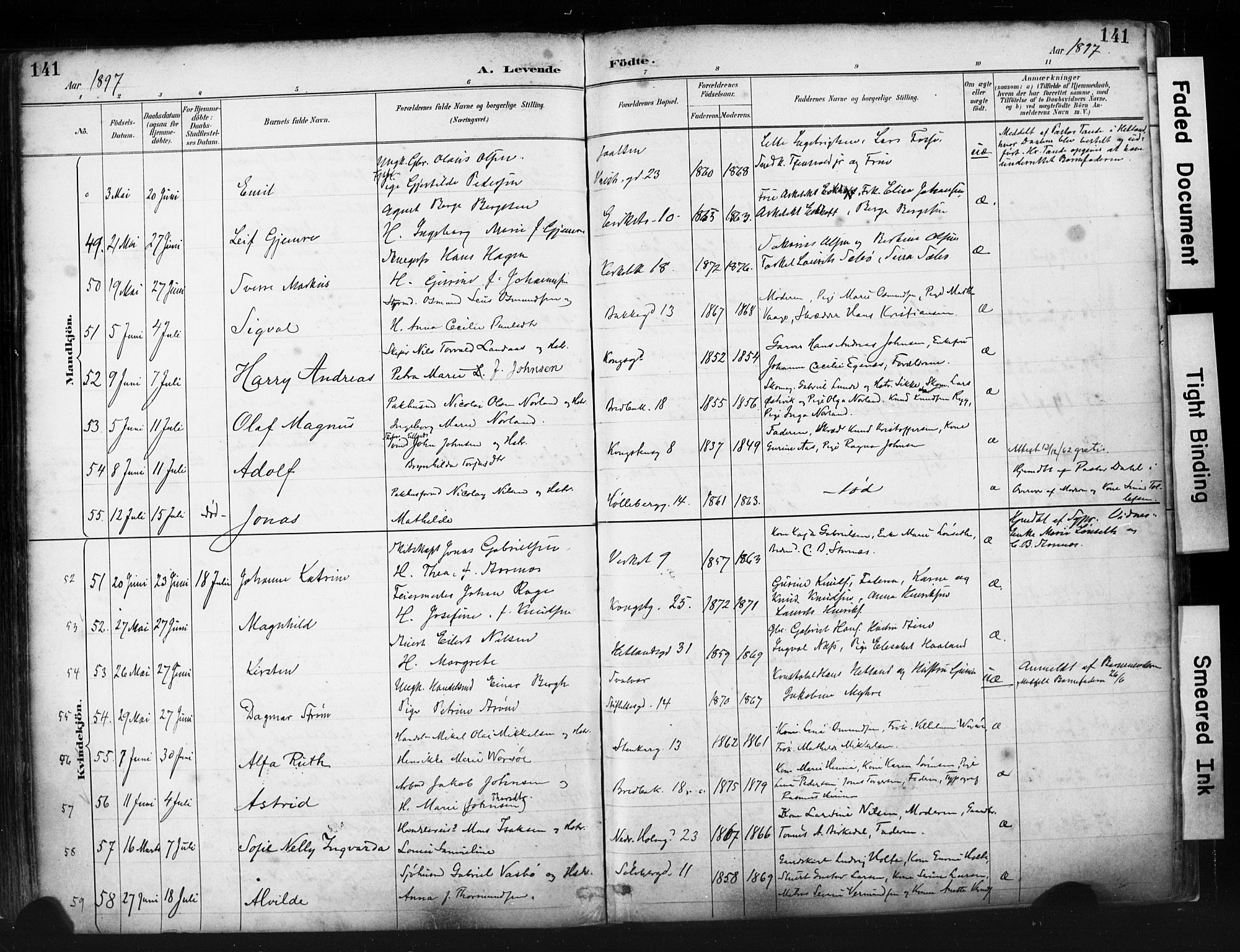 St. Petri sokneprestkontor, AV/SAST-A-101813/001/30/30BA/L0019: Parish register (official) no. A 20, 1888-1901, p. 141