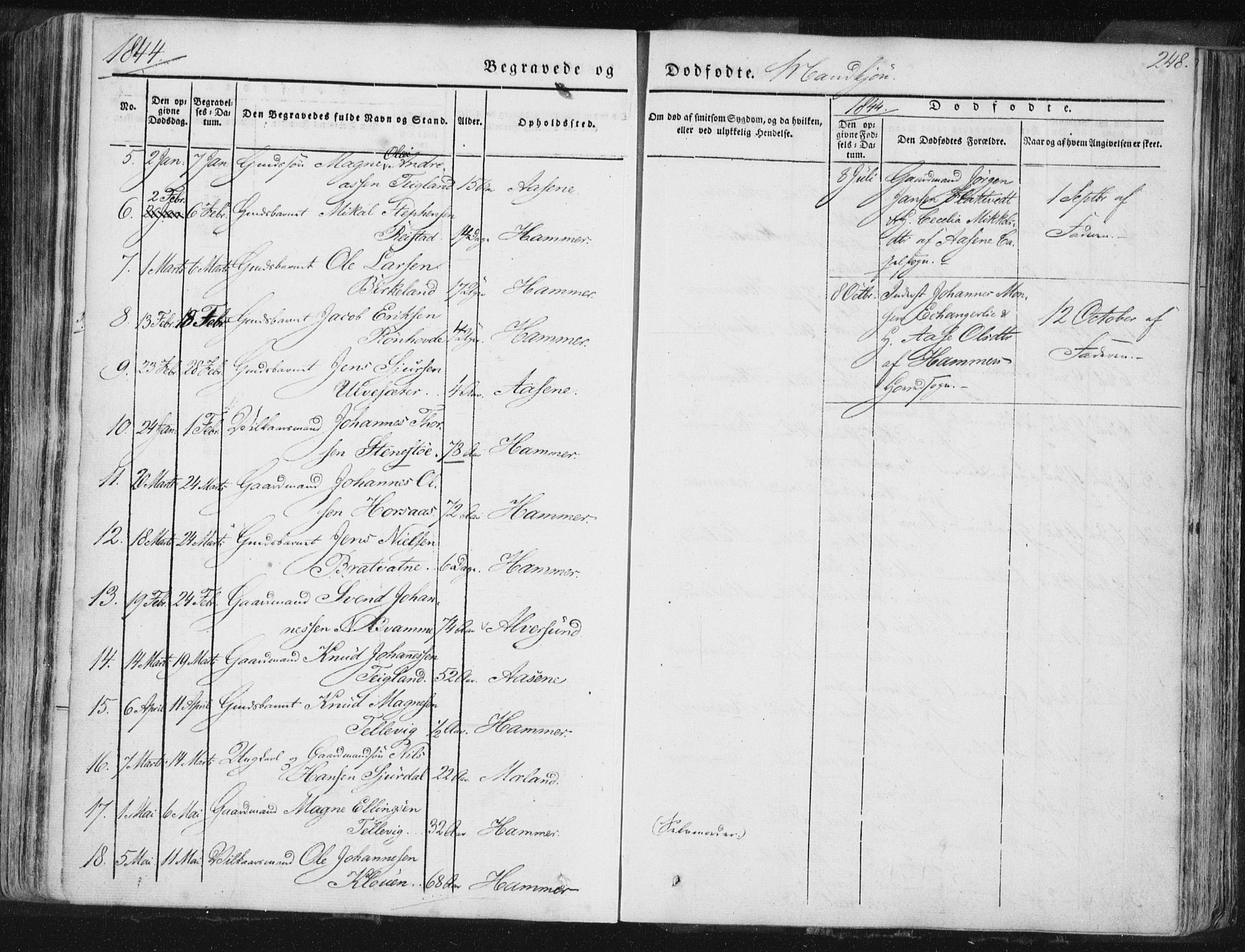 Hamre sokneprestembete, AV/SAB-A-75501/H/Ha/Haa/Haaa/L0012: Parish register (official) no. A 12, 1834-1845, p. 248