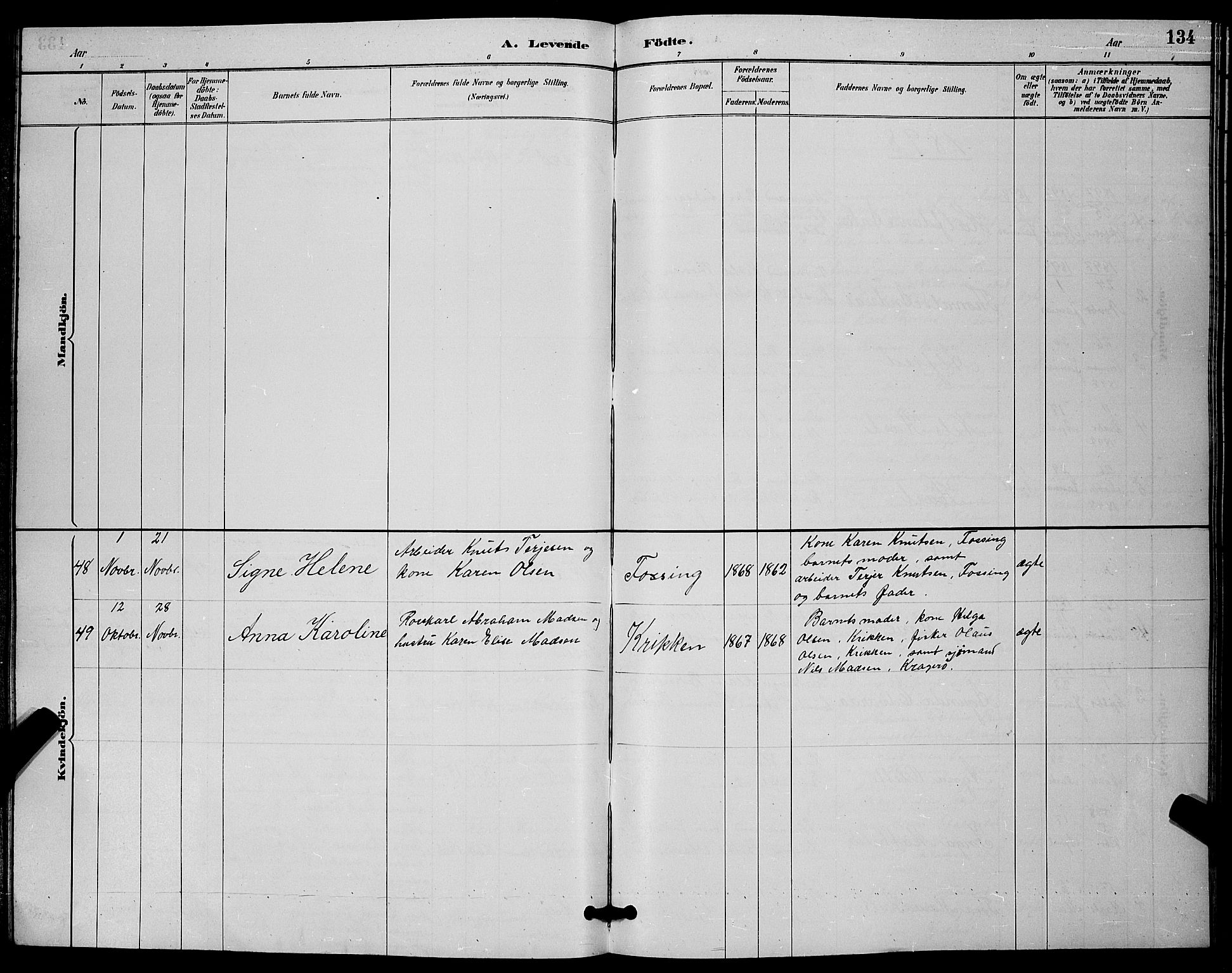 Skåtøy kirkebøker, SAKO/A-304/G/Ga/L0003: Parish register (copy) no. I 3, 1884-1898, p. 134