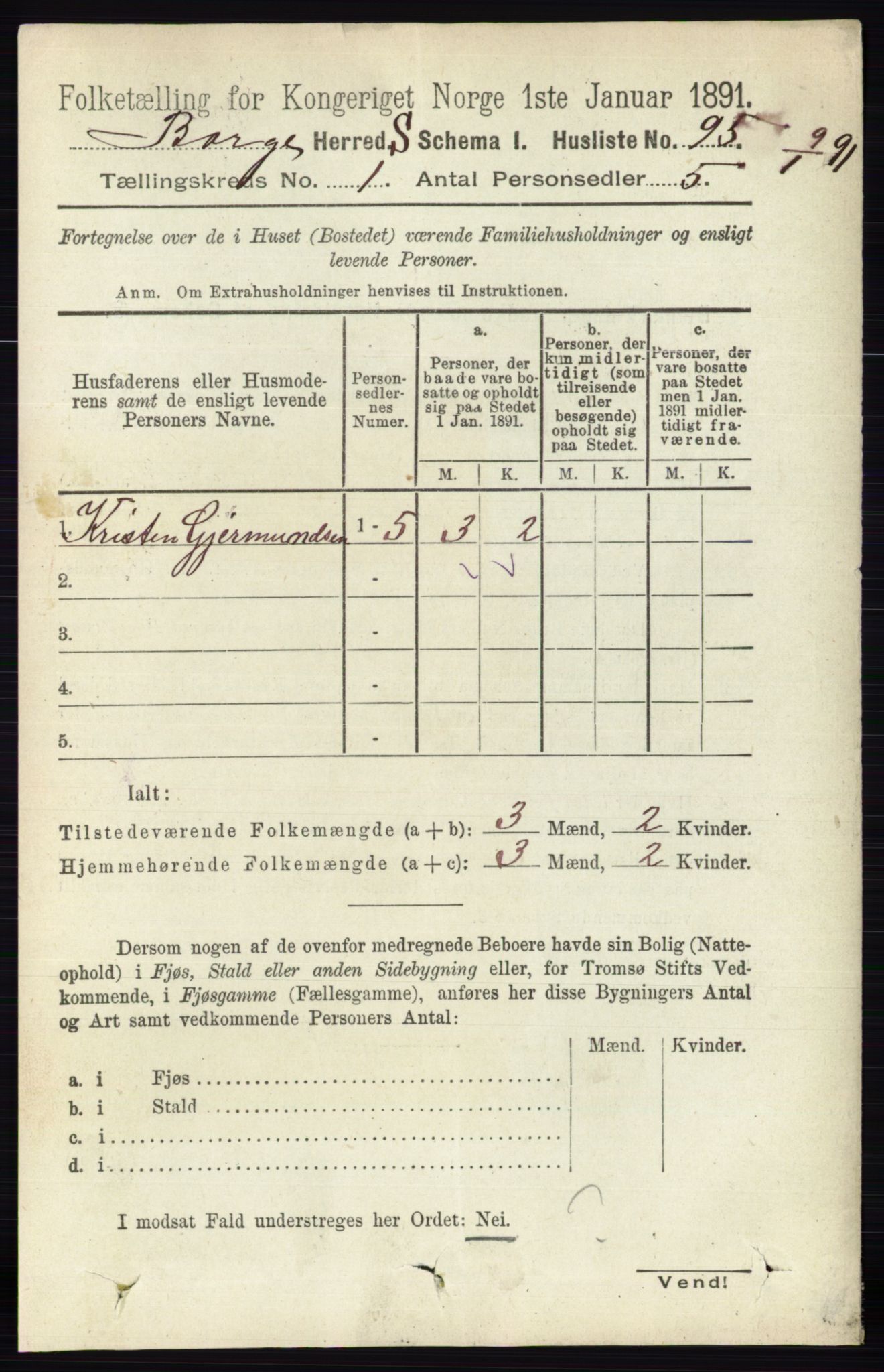 RA, 1891 census for 0113 Borge, 1891, p. 127